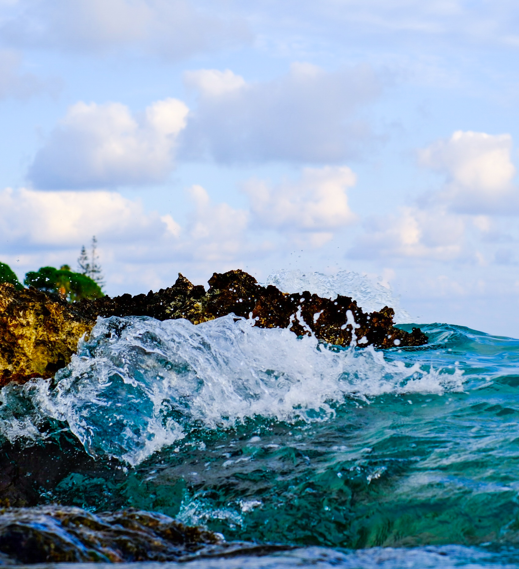 here comes the wave 🌊