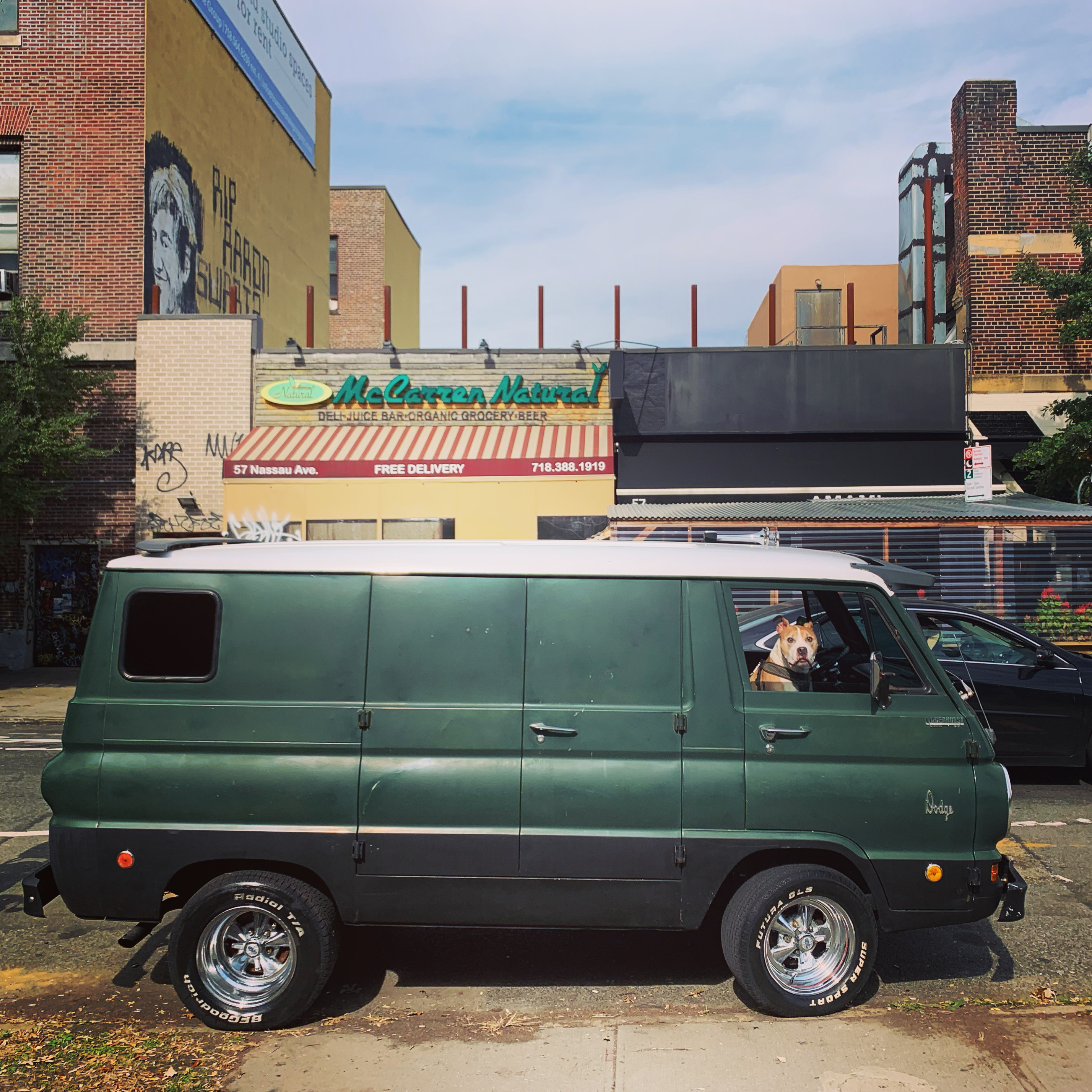 Dog Days in Brooklyn