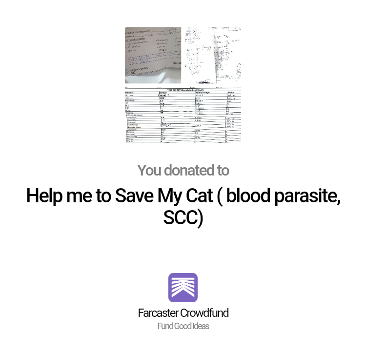 Farcaster Crowdfund