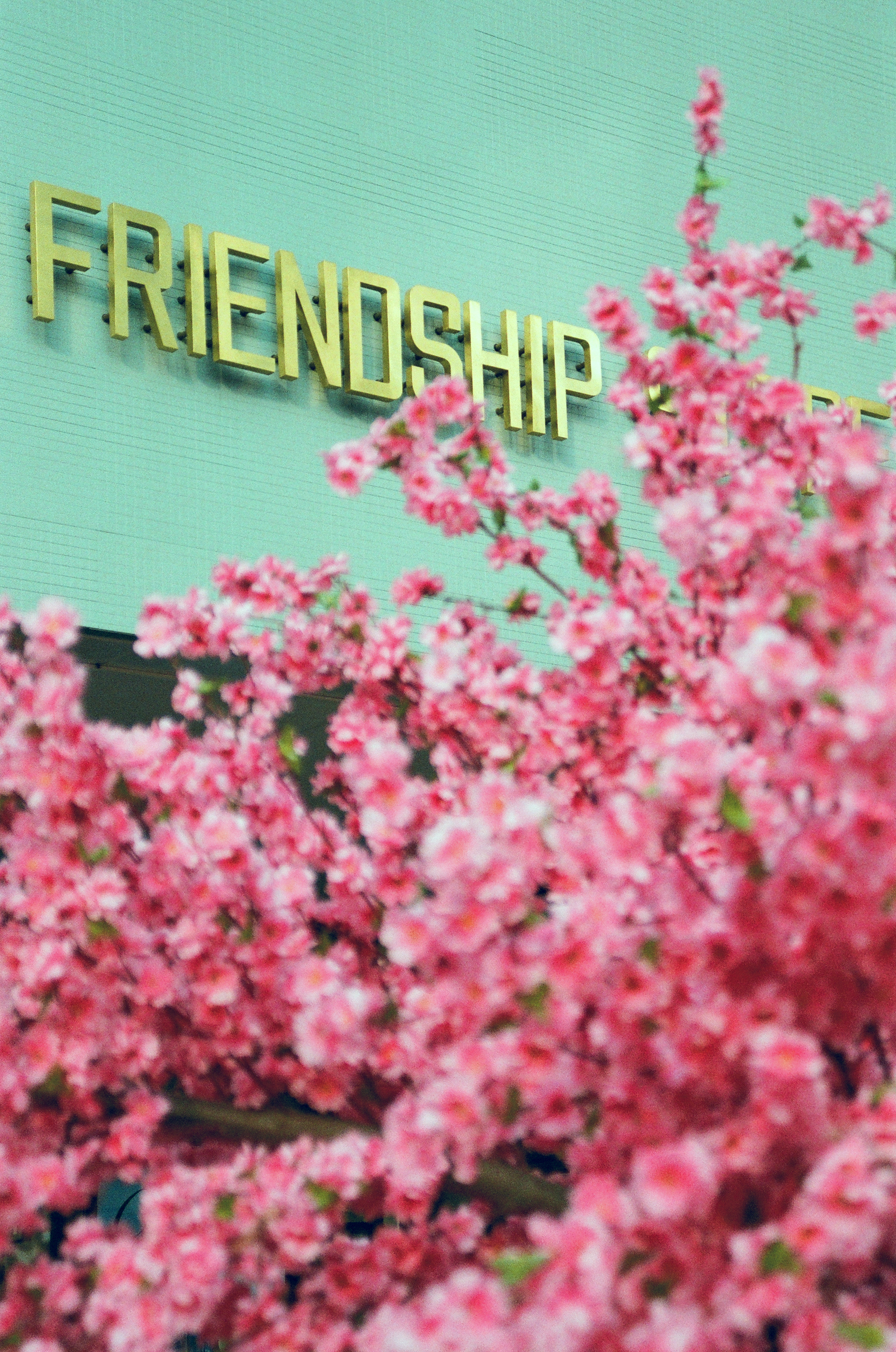 Friendship