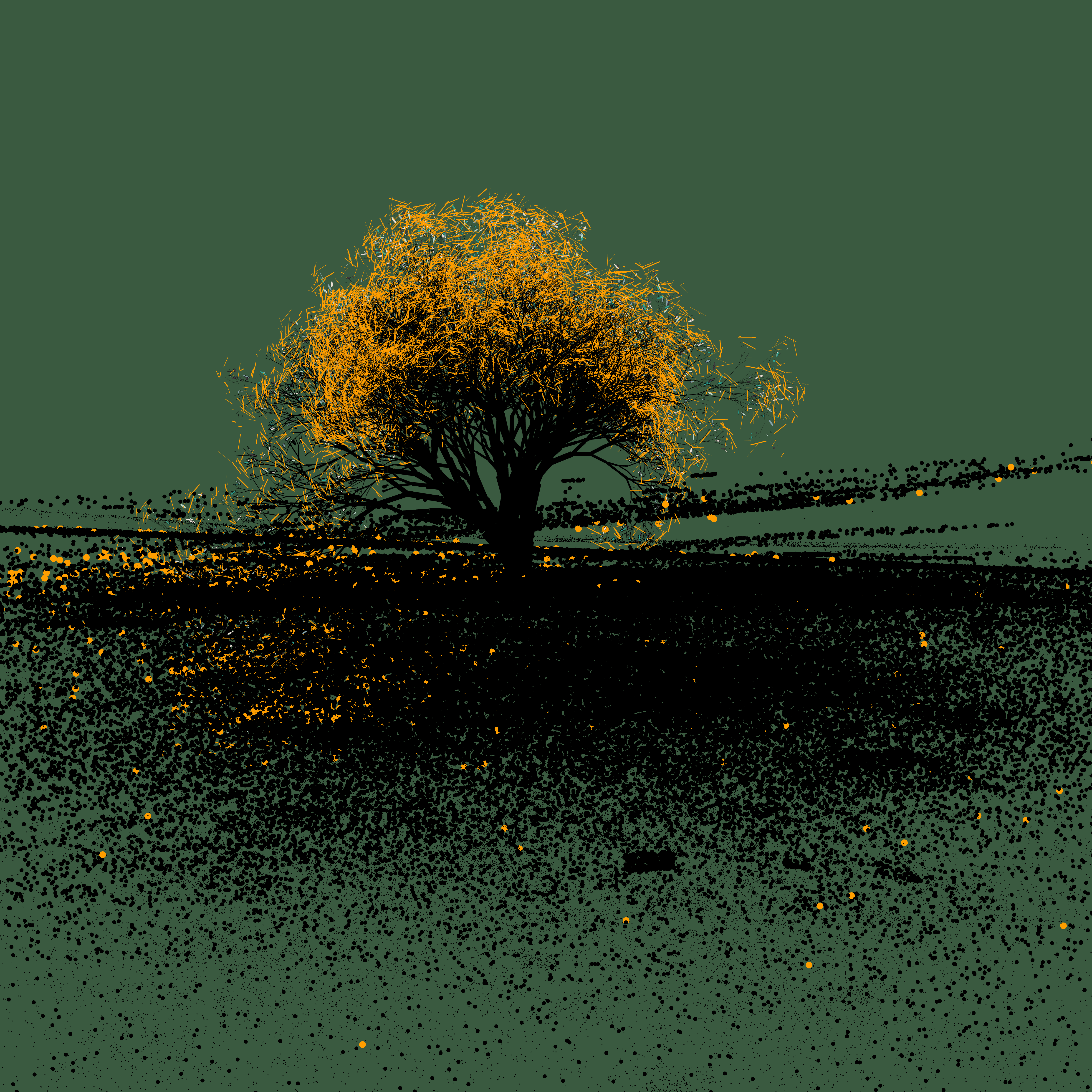 Un arbre solitaire au loin #B3