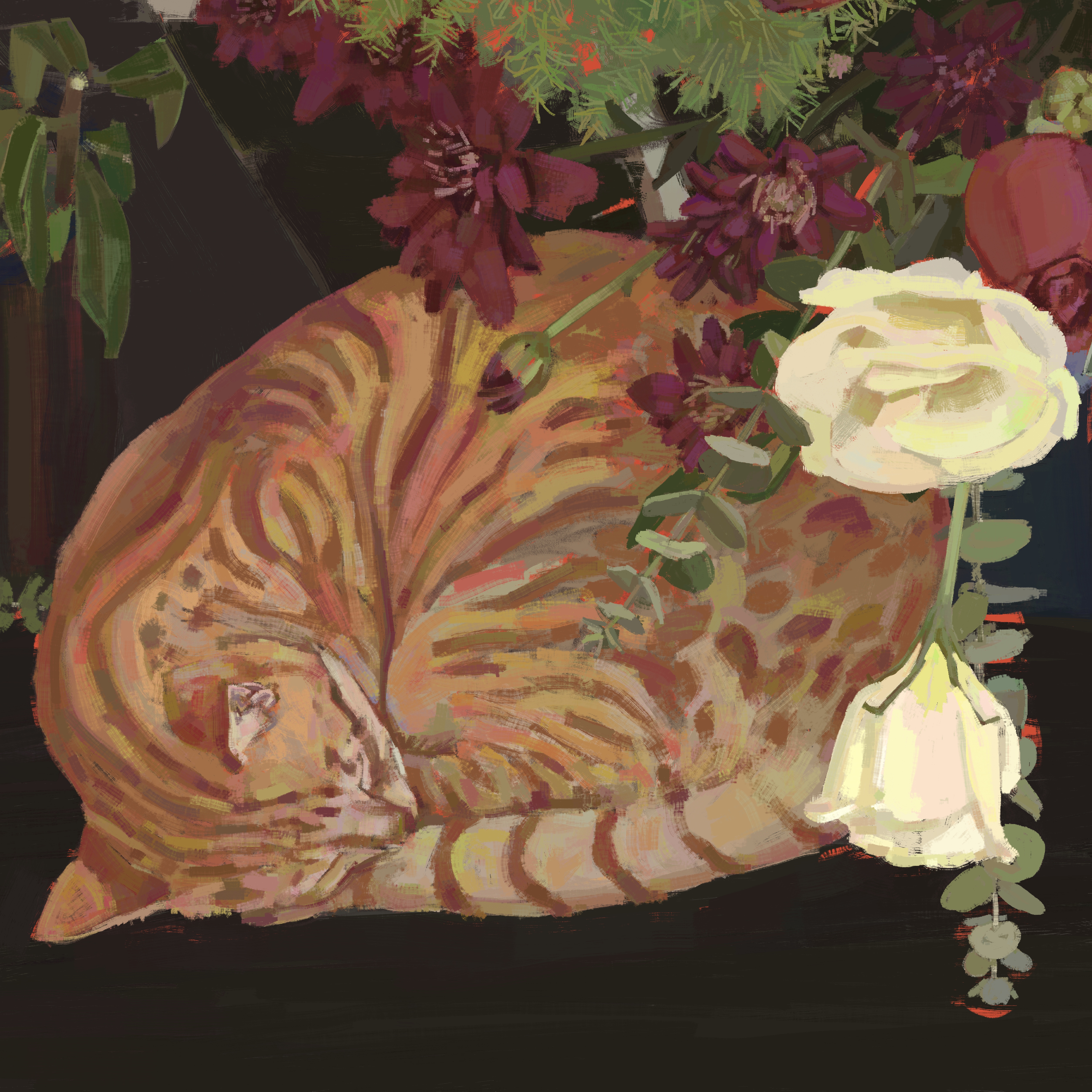 A Sleepy cat