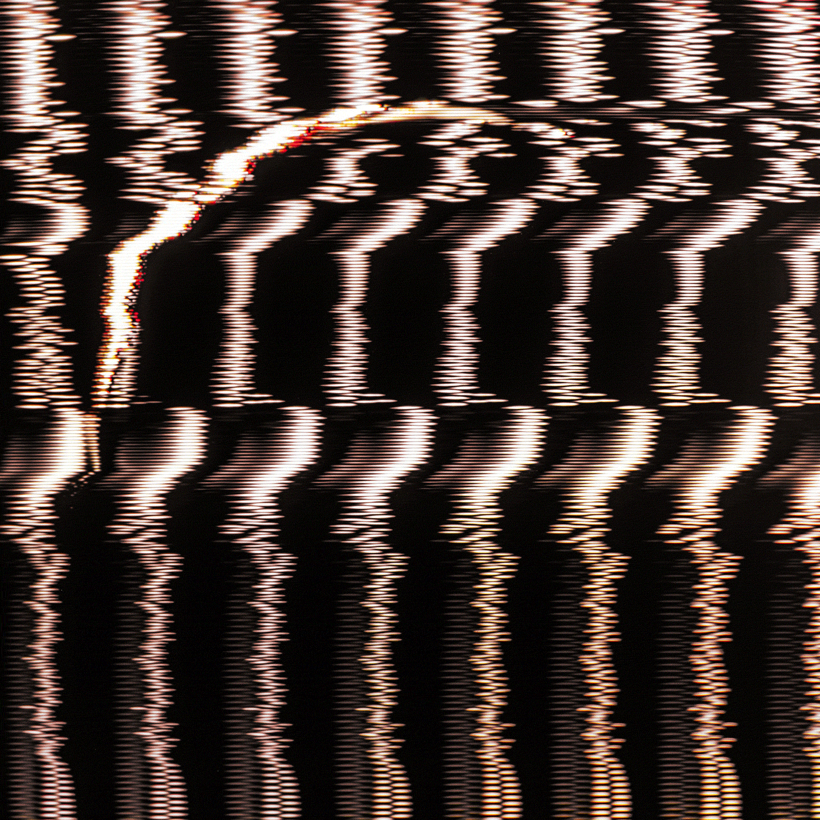 MOON:BEAM CUSTOM GIF 