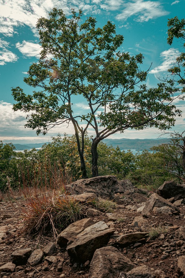 The summit isn't always the best view