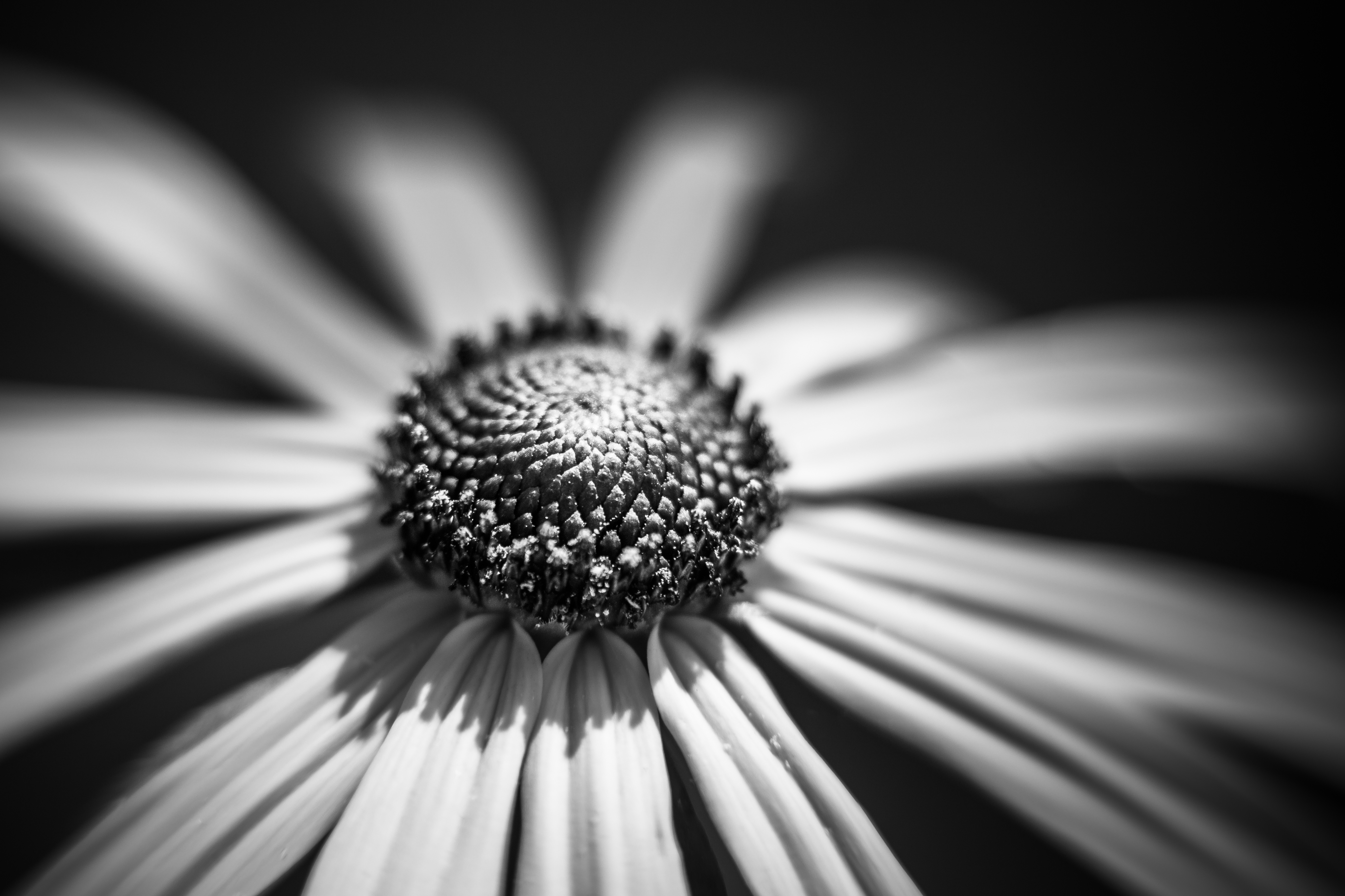 Keeping Things Focused