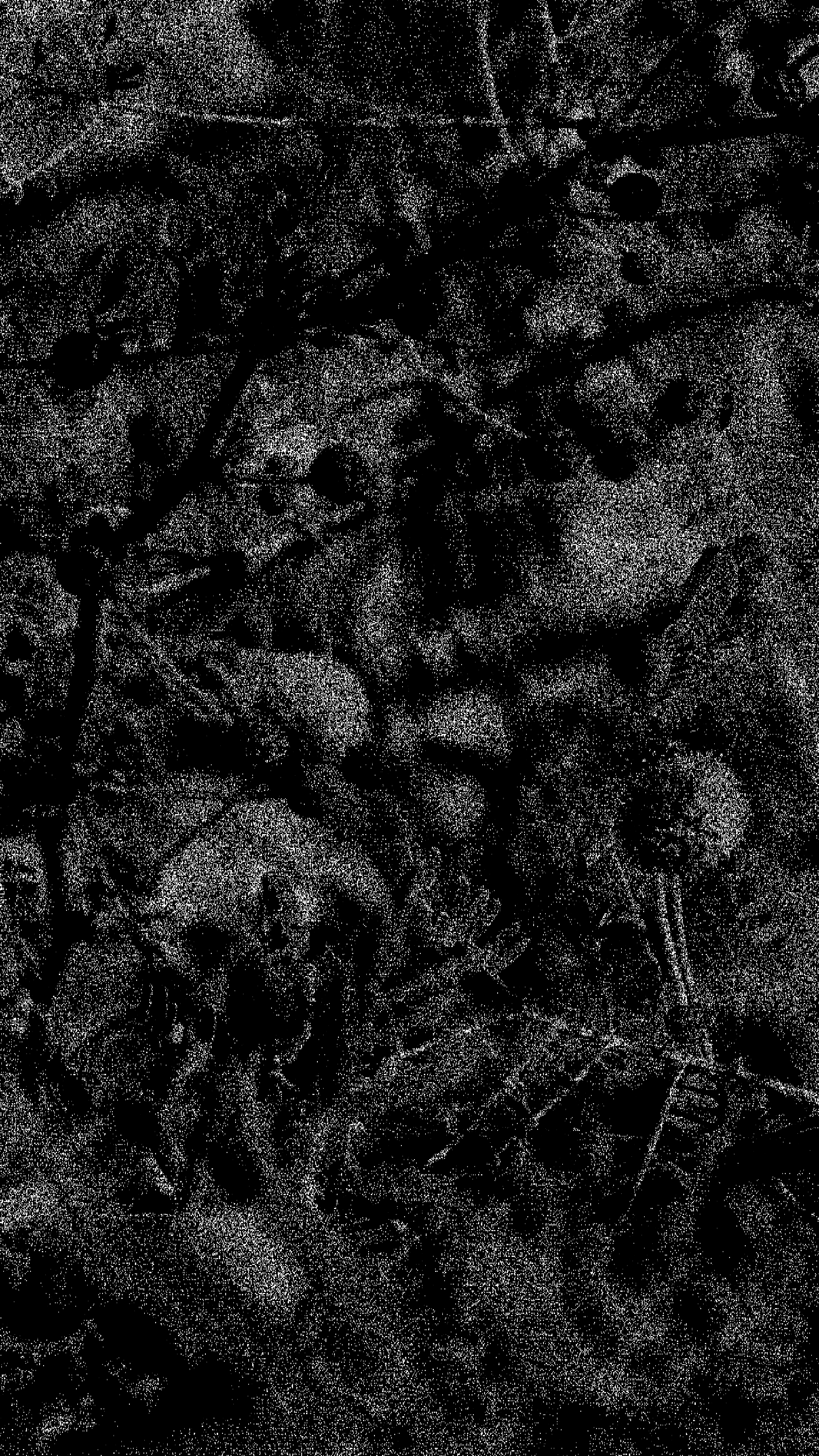 and with this, i took some rest