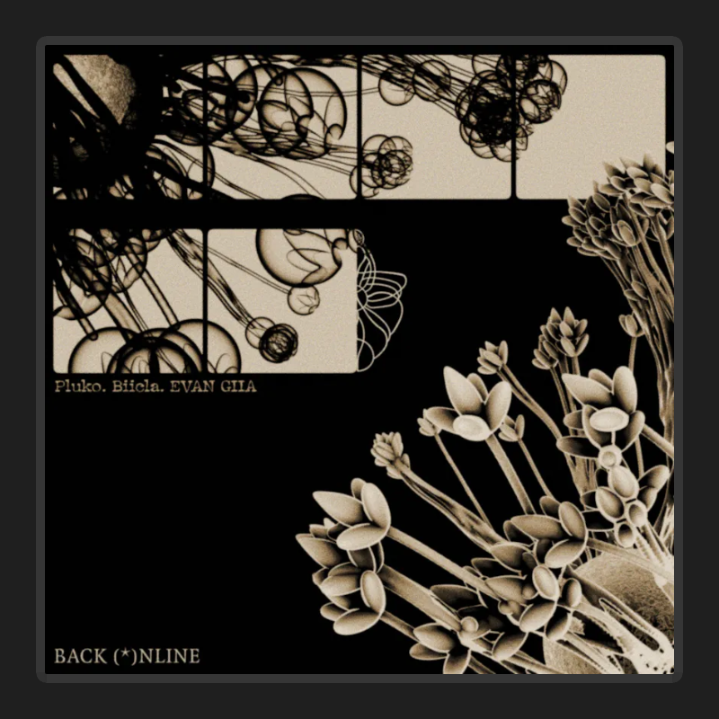 Back Online (ft. Pluko x Biicla x EVAN GIIA)