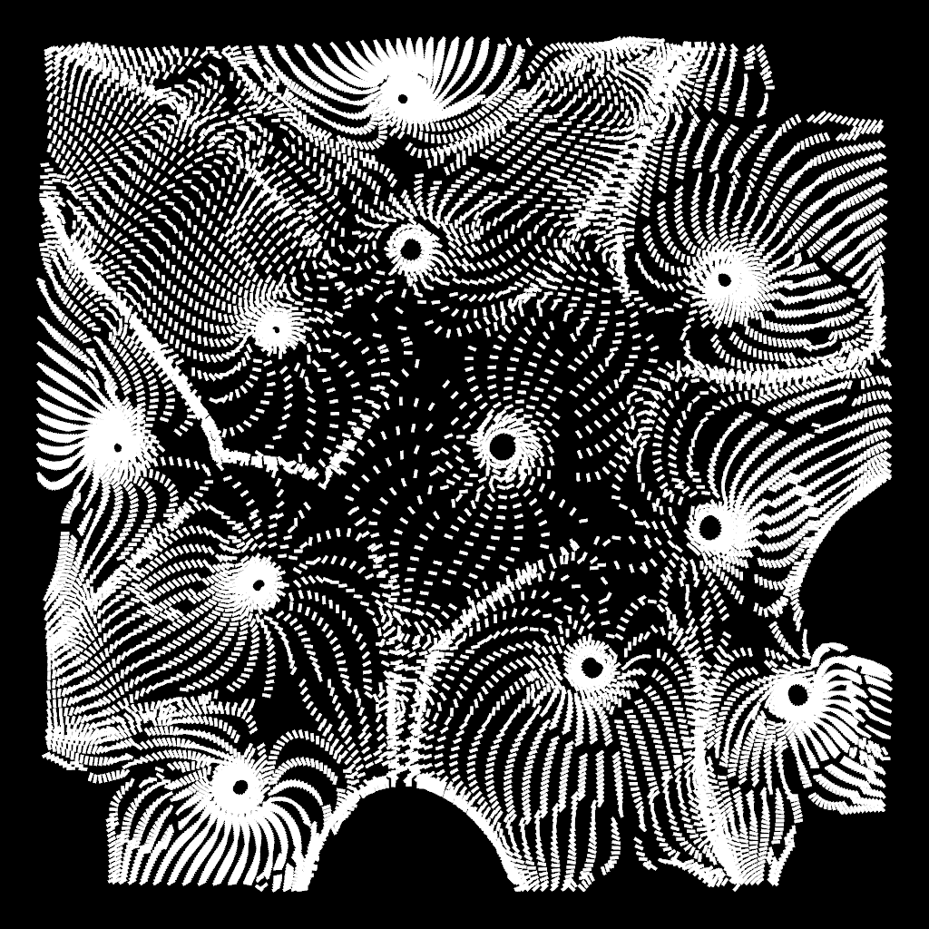 Magnetic Field var.23-4