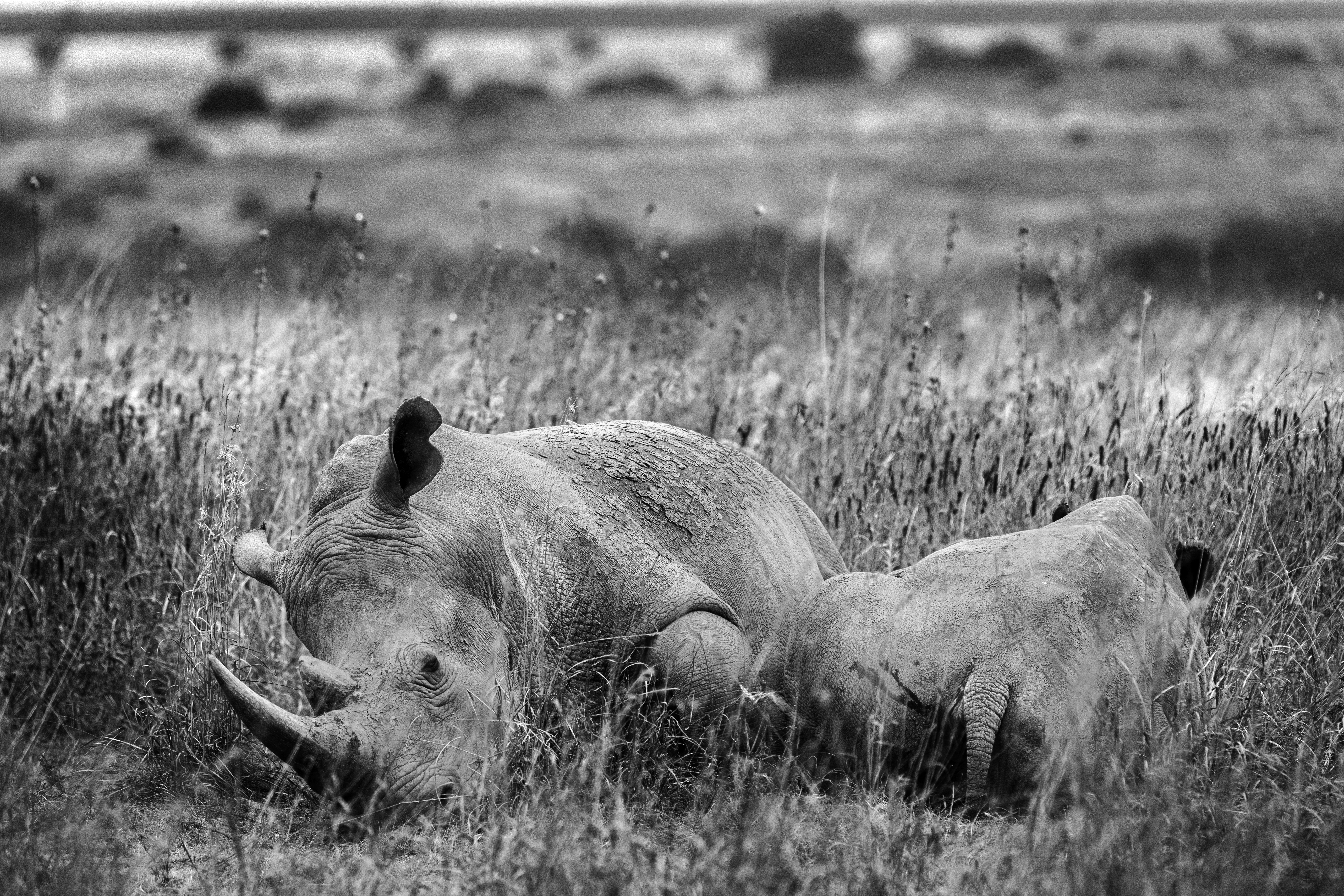Motherly love #7