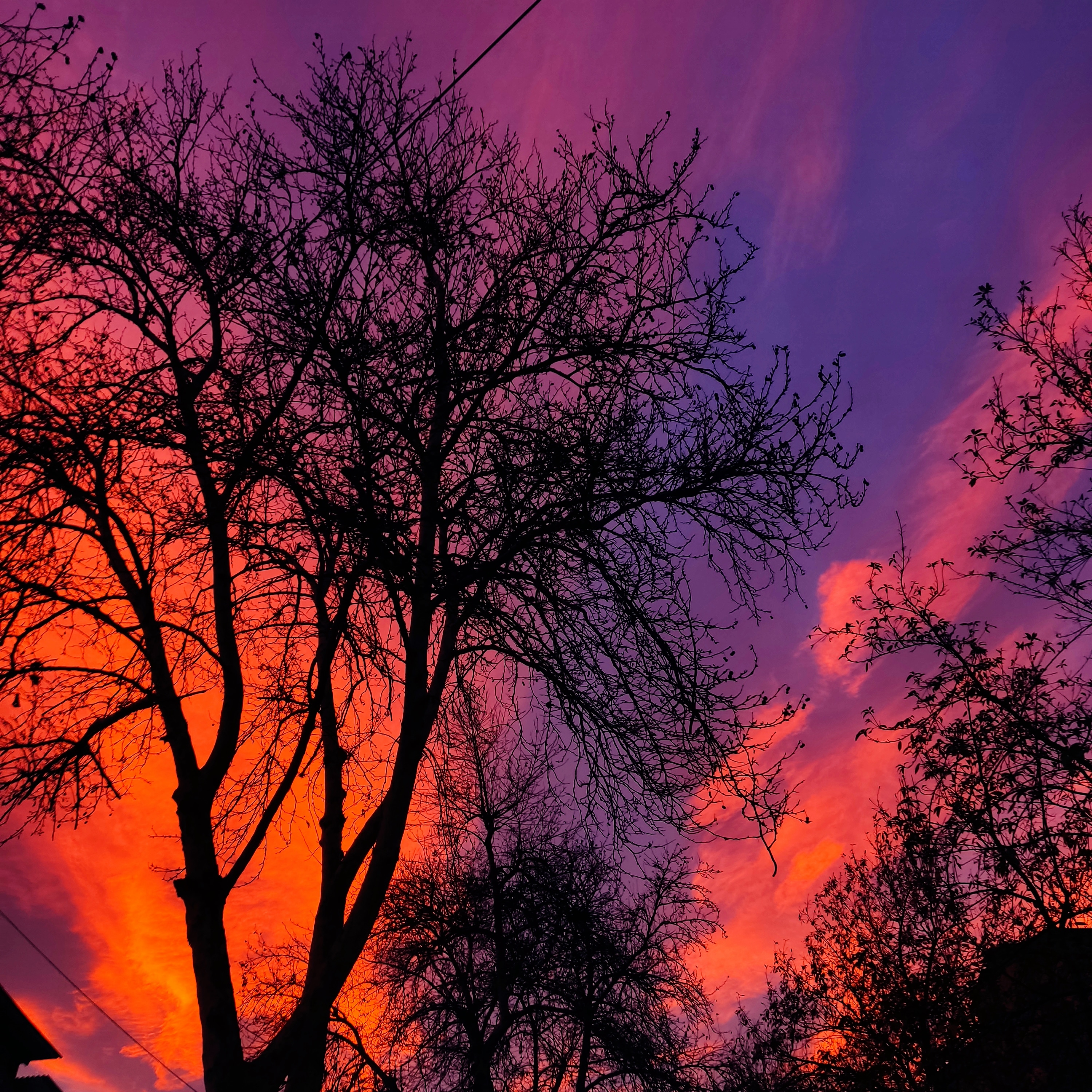 RedNight