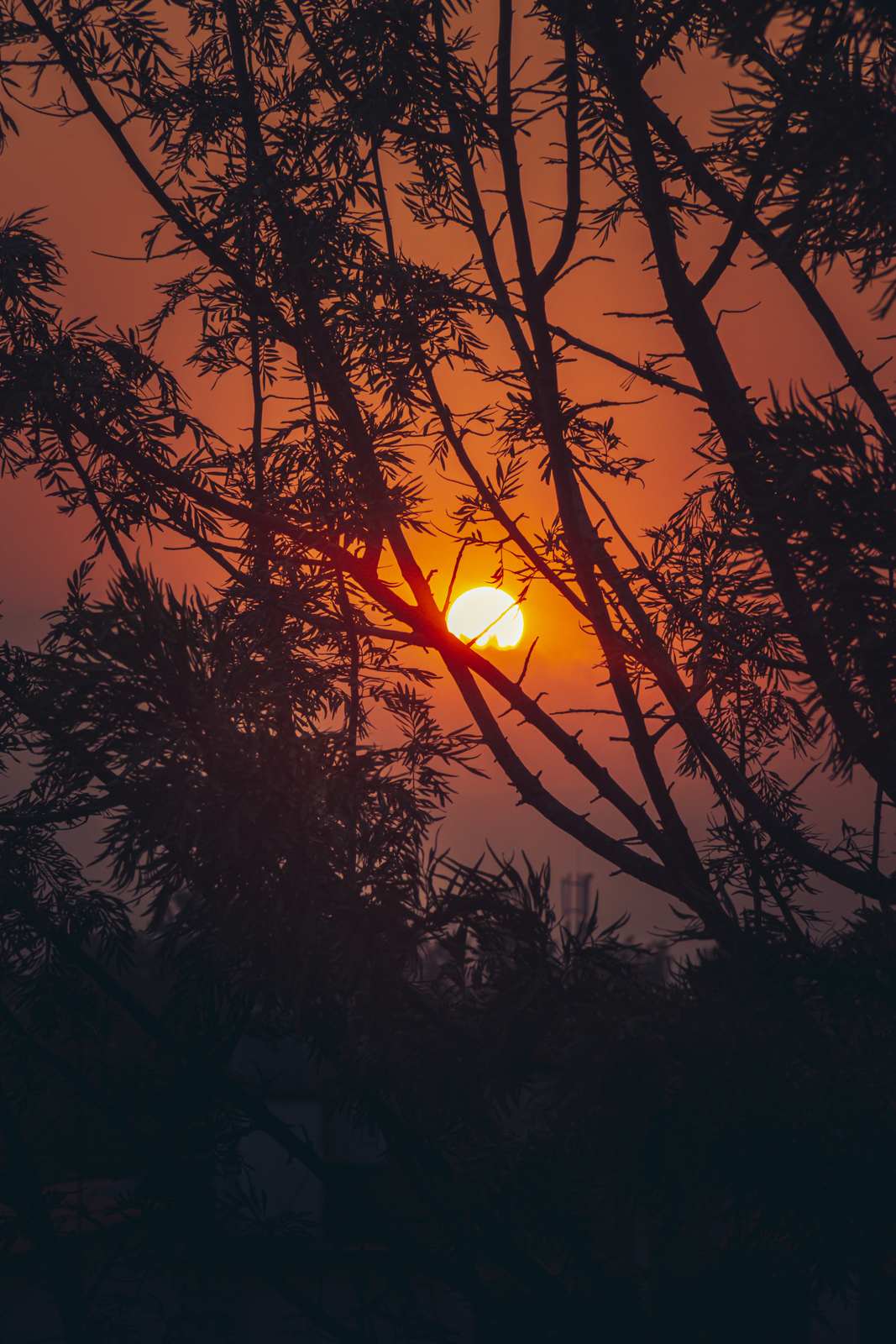 Ember Skies #20