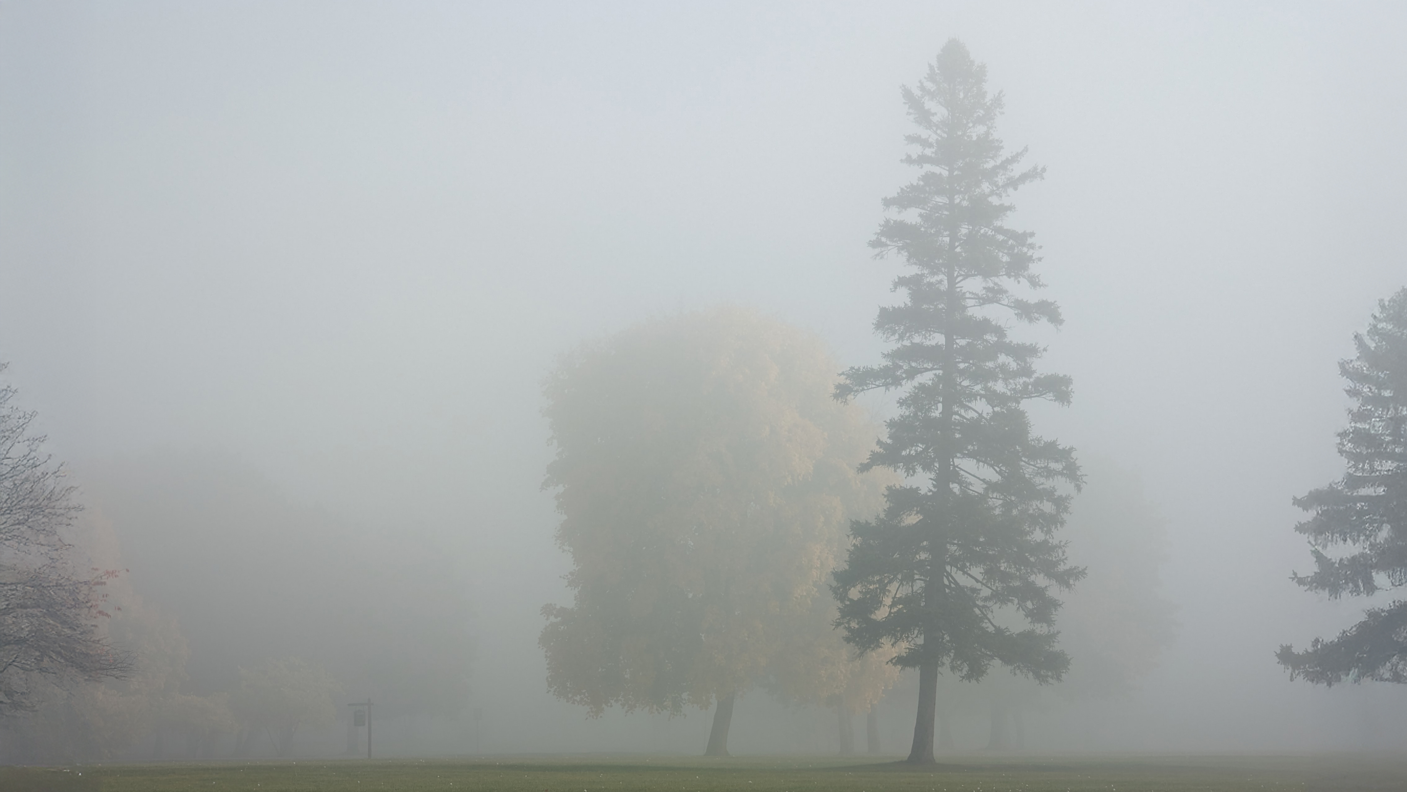 Foggy Morning at the Fort