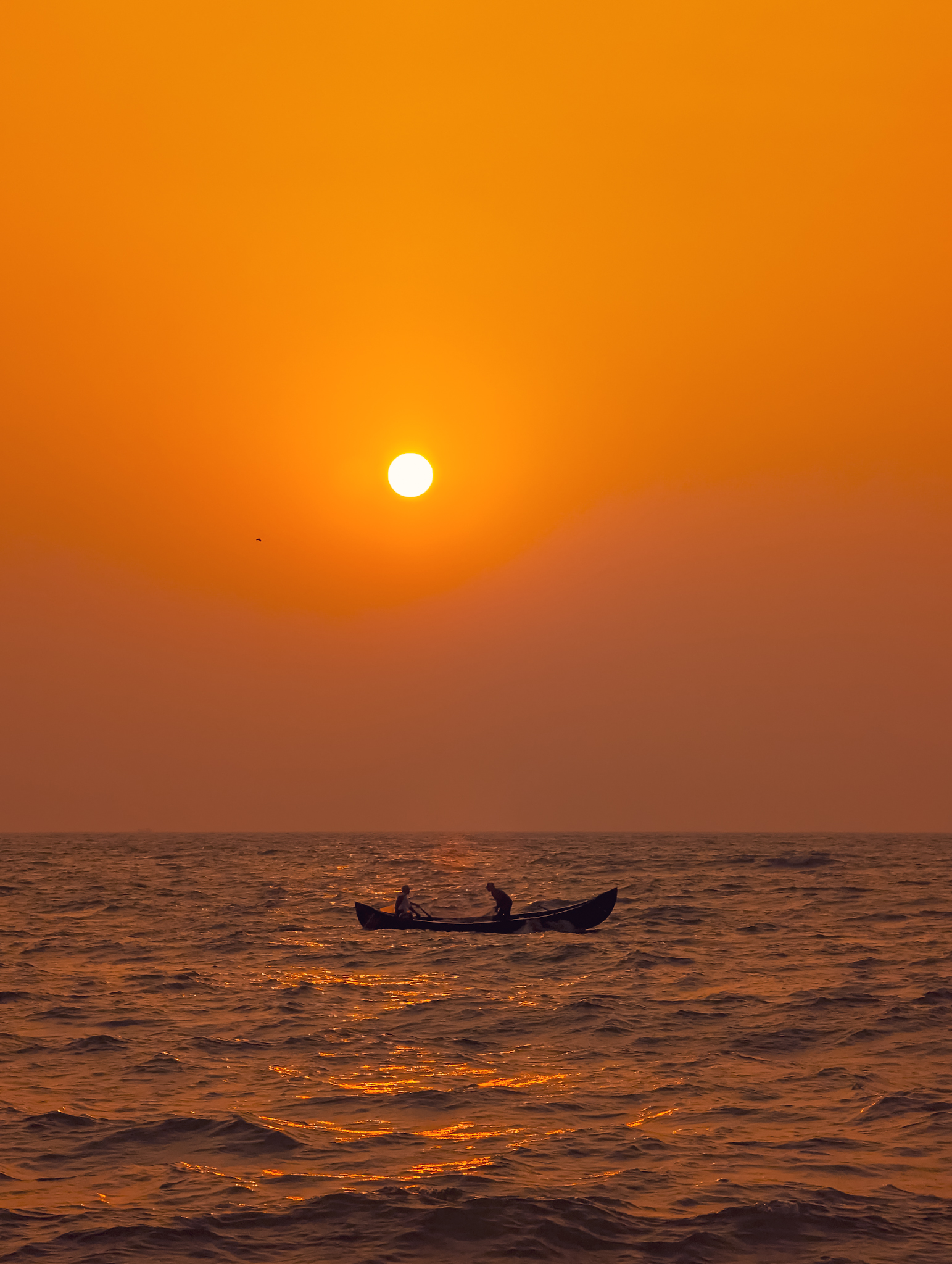 Golden Sail #20