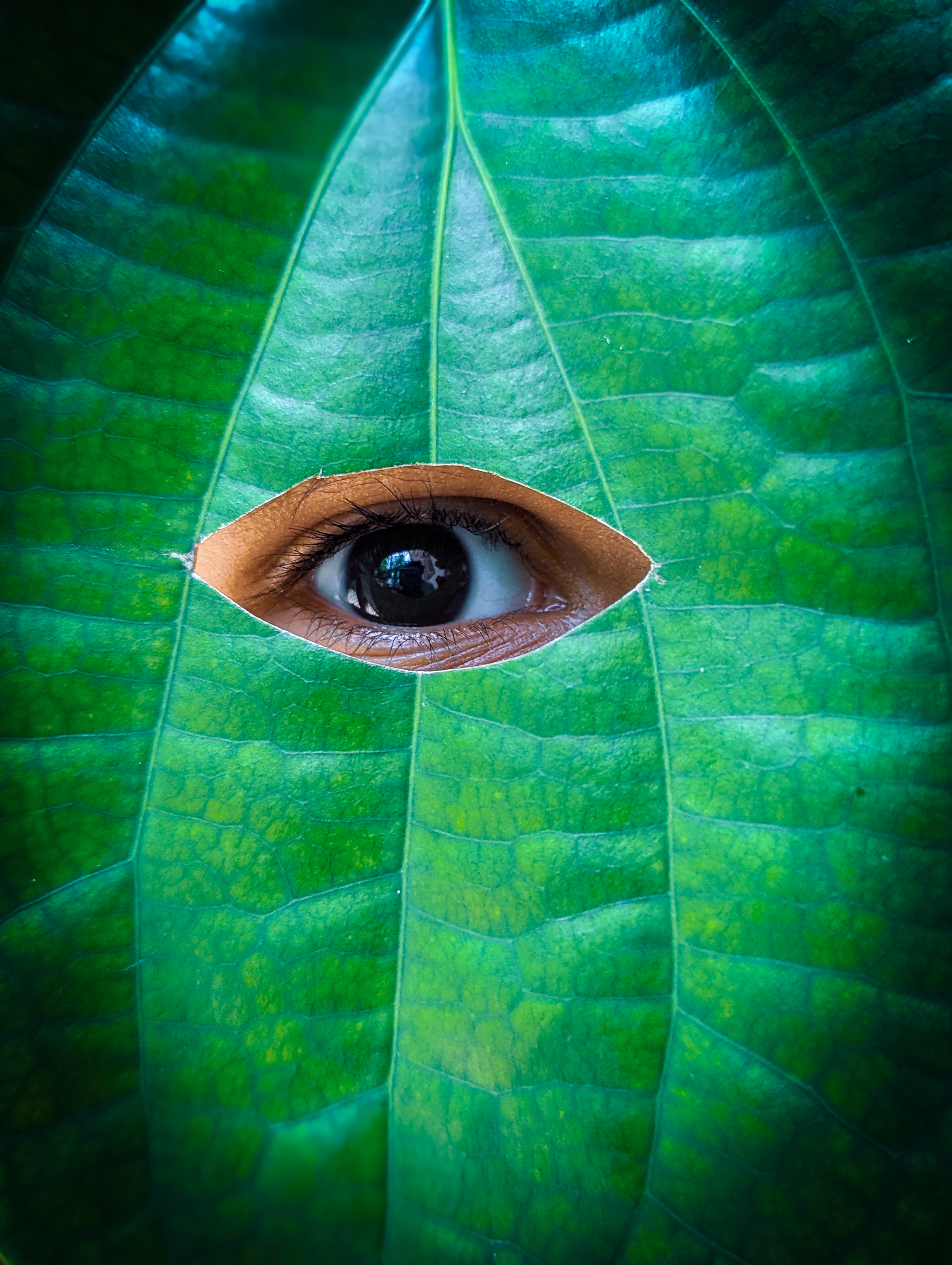 Nature's Lens #51