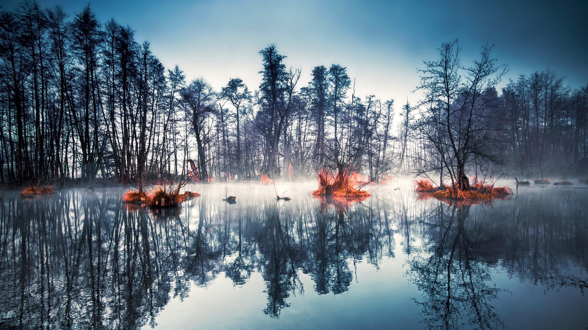 foggy morning