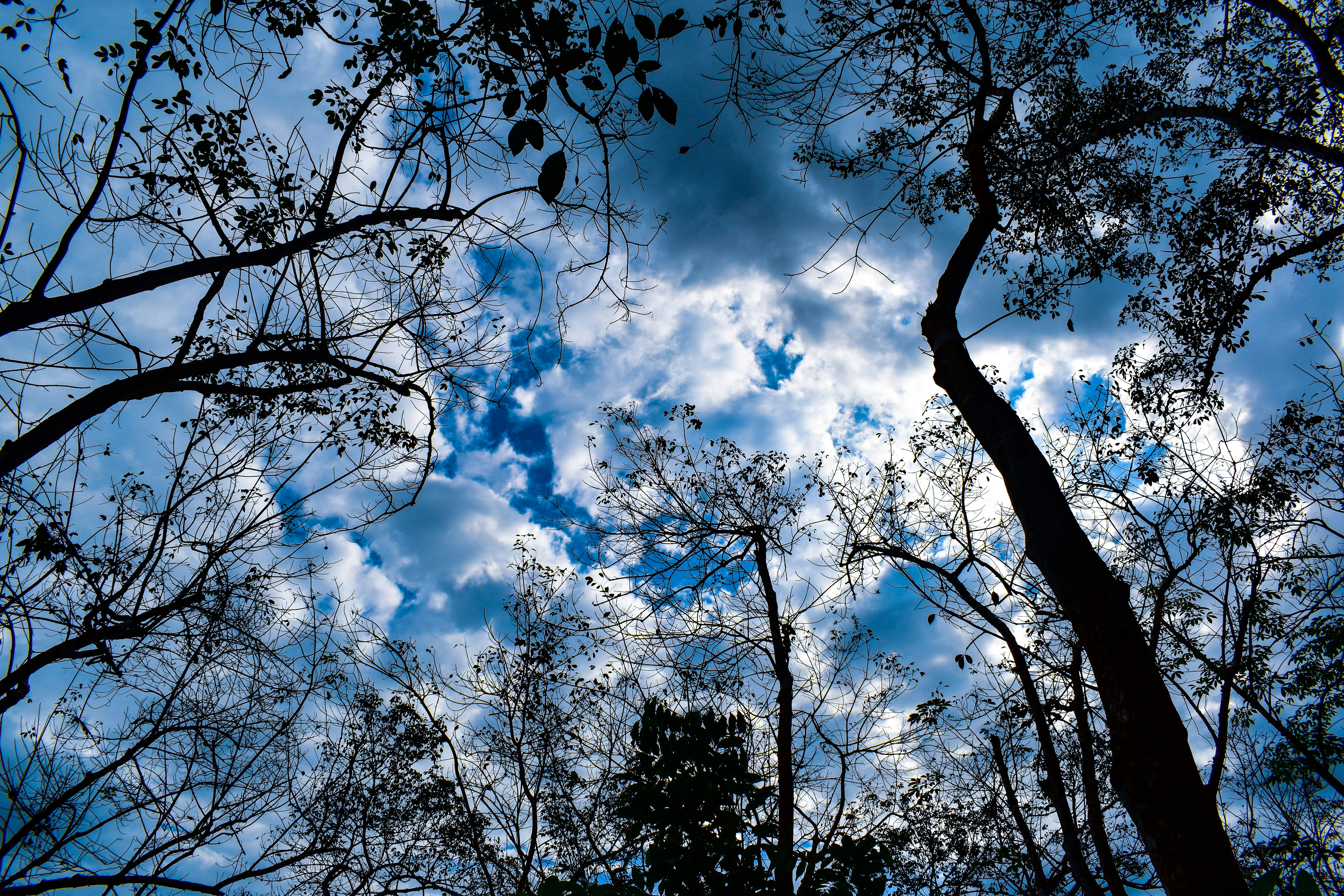 Azure Silence #19
