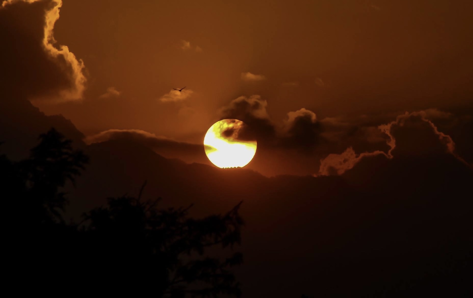 Sunset Symphony 📷 #39