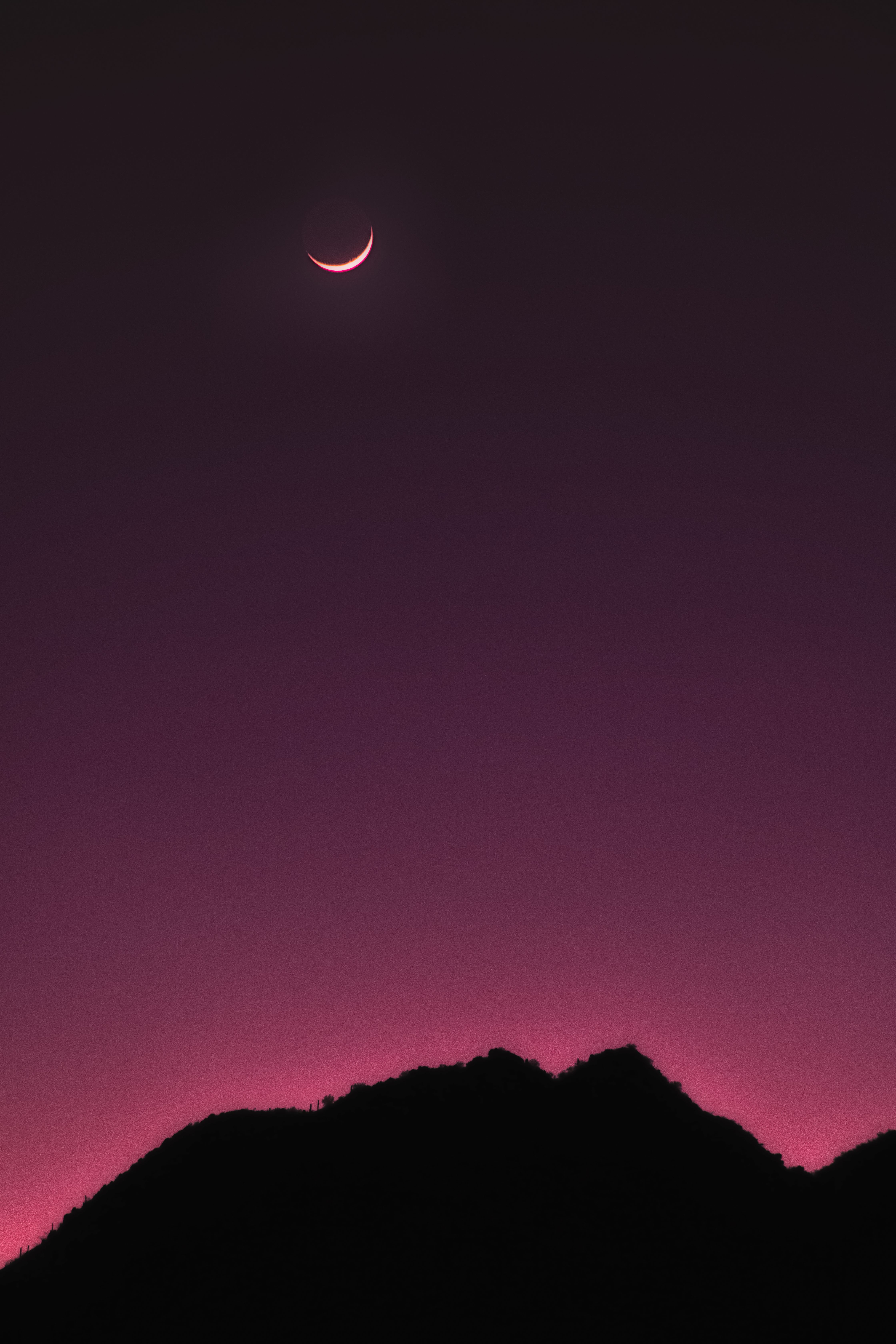 Purple Night #411