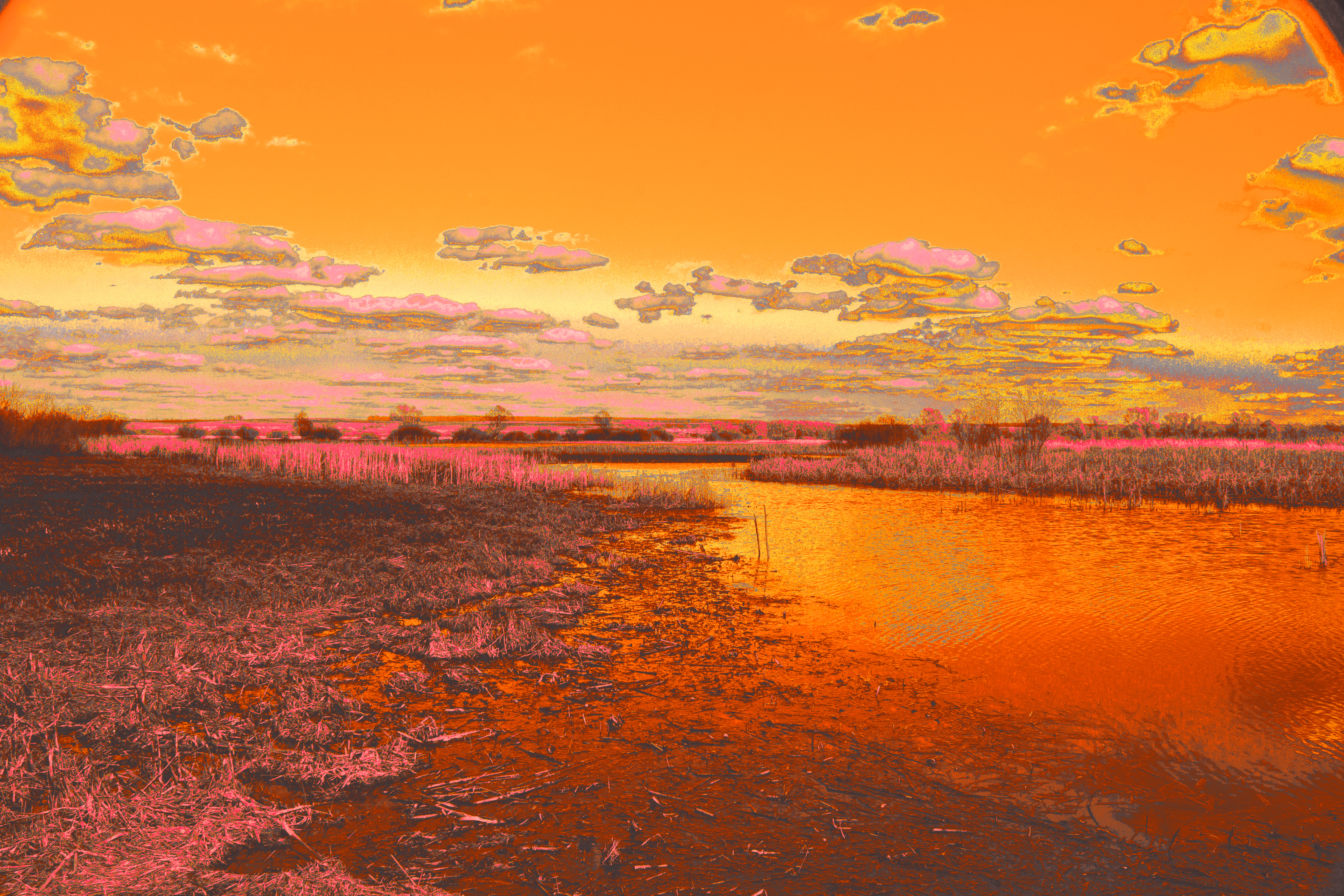 PICTURESQUE SCENERY 1040