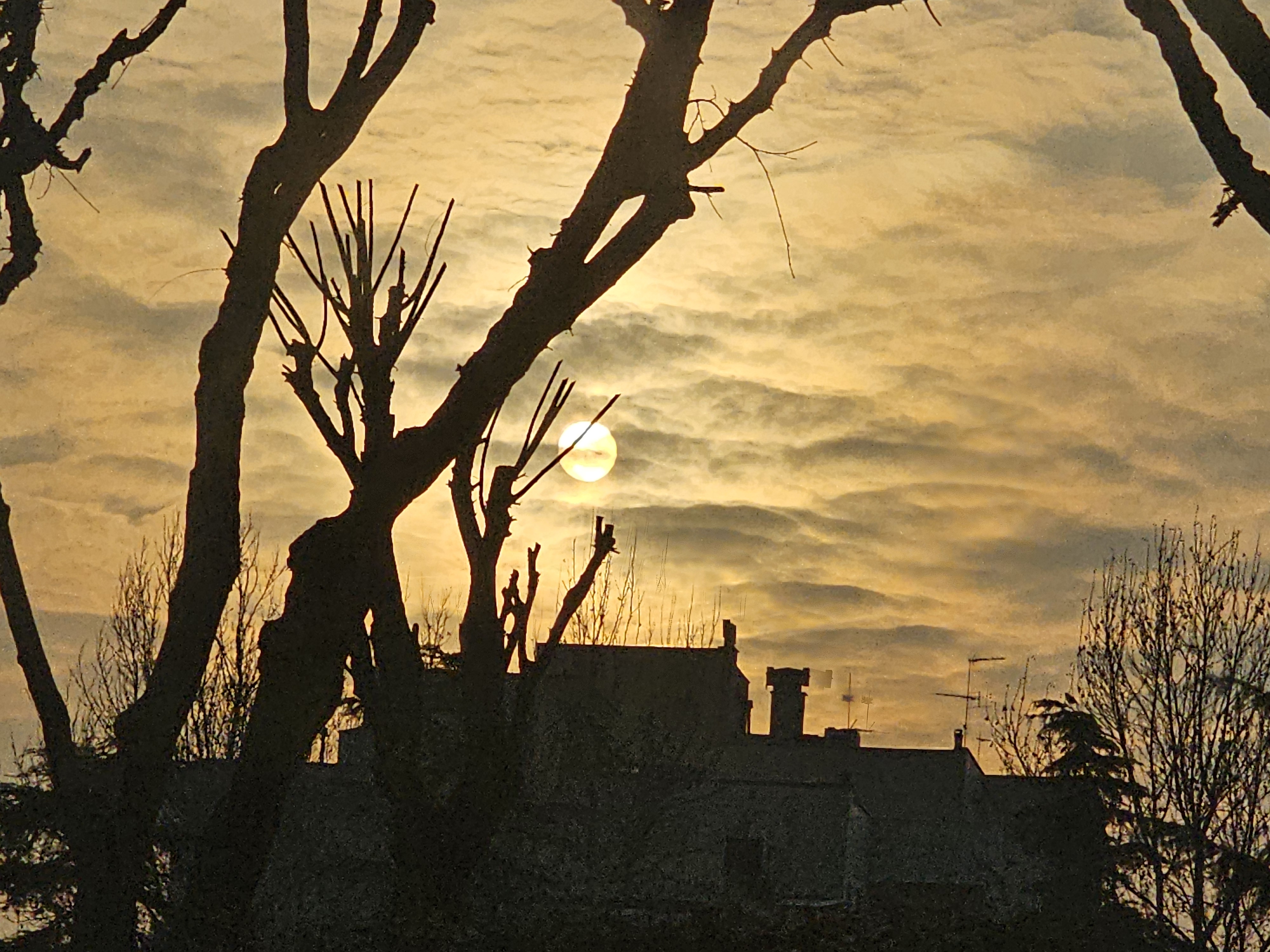 Like a sunset 🌇✨️ #1