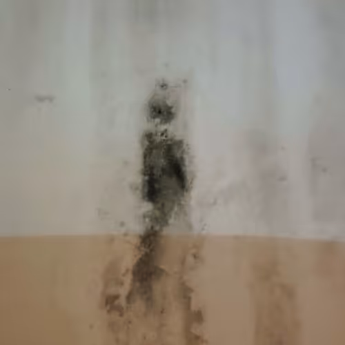 Not an ordinary trace