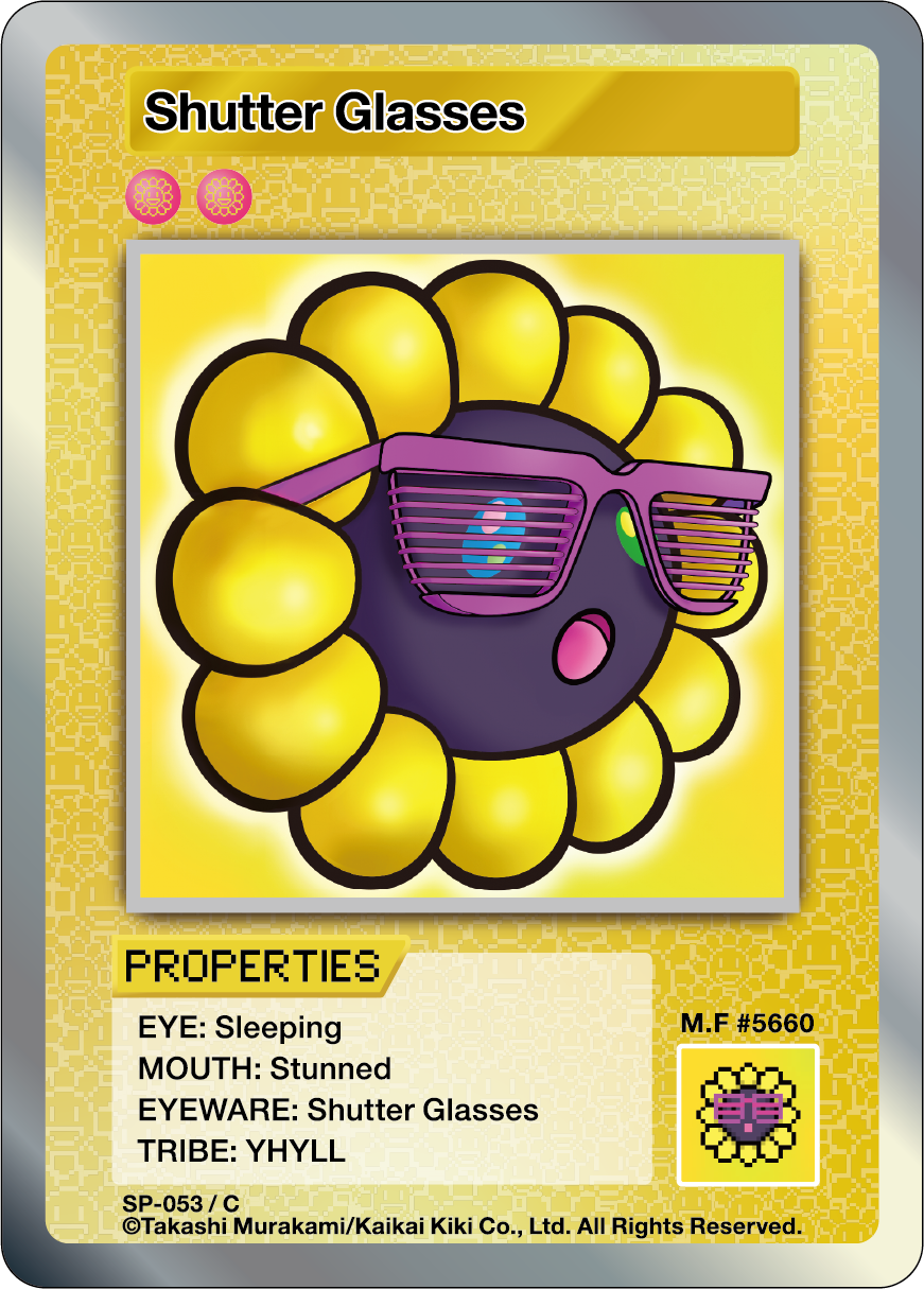 Shutter Glasses SP-053 EN