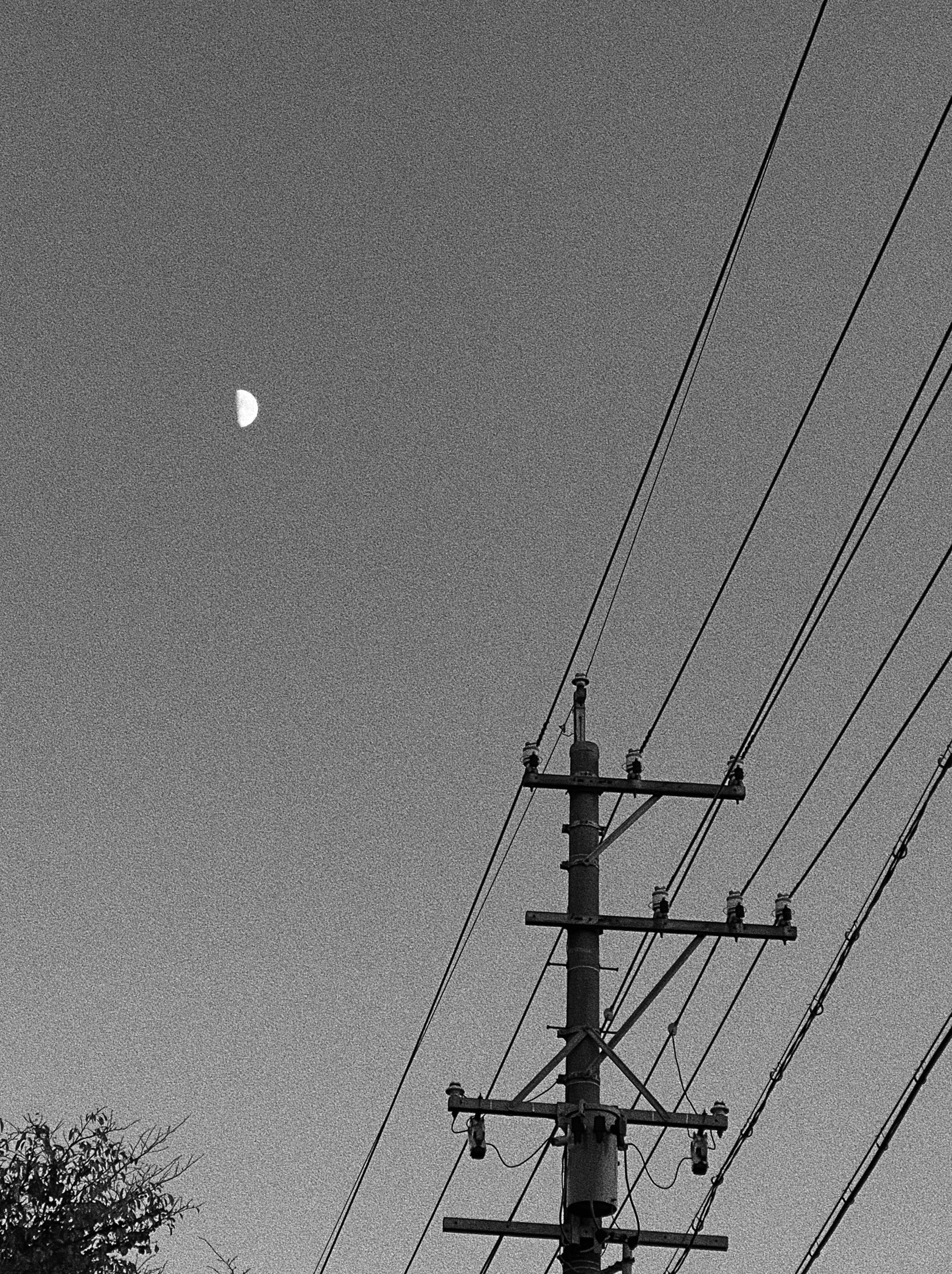 Morning Moon