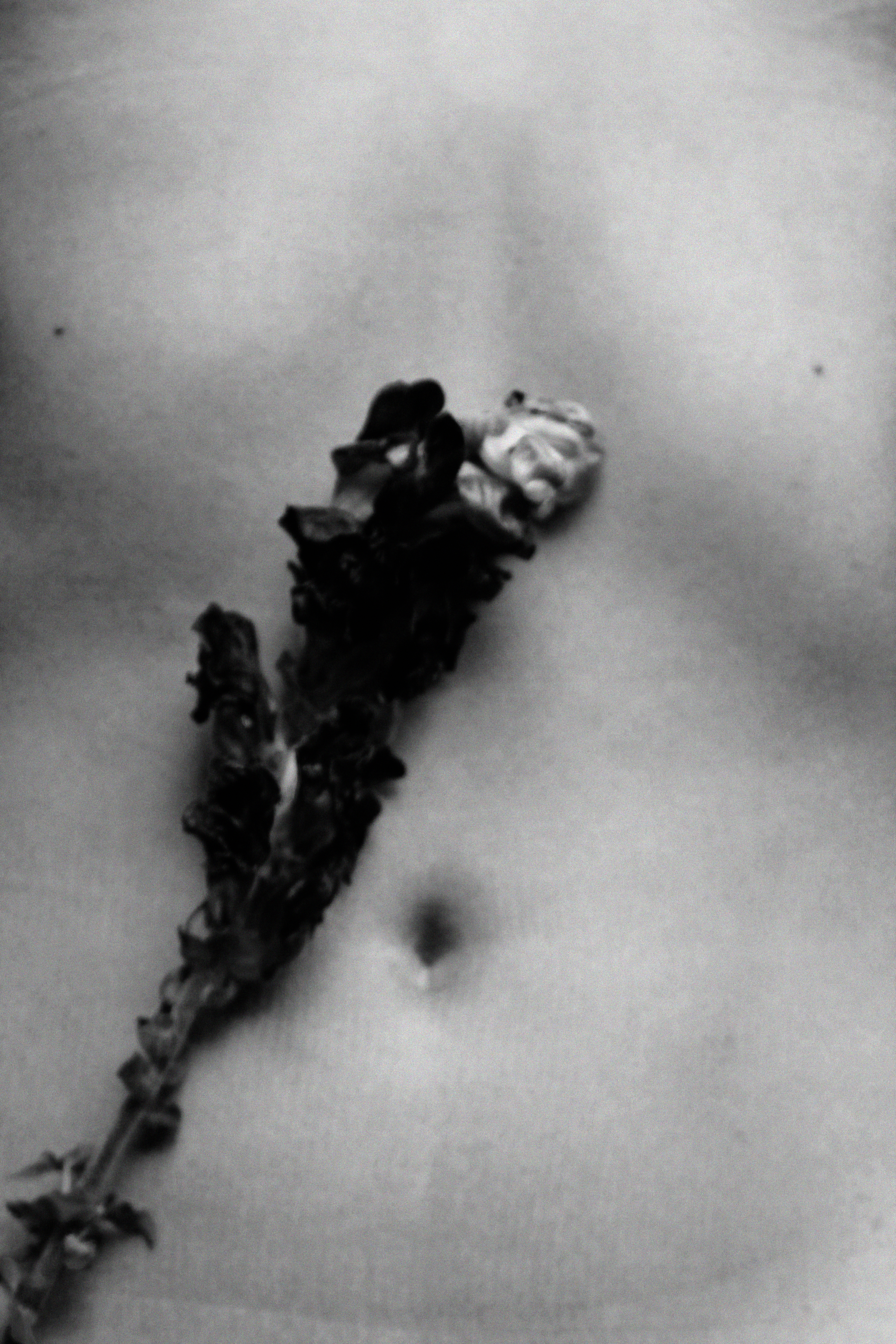 Marcas