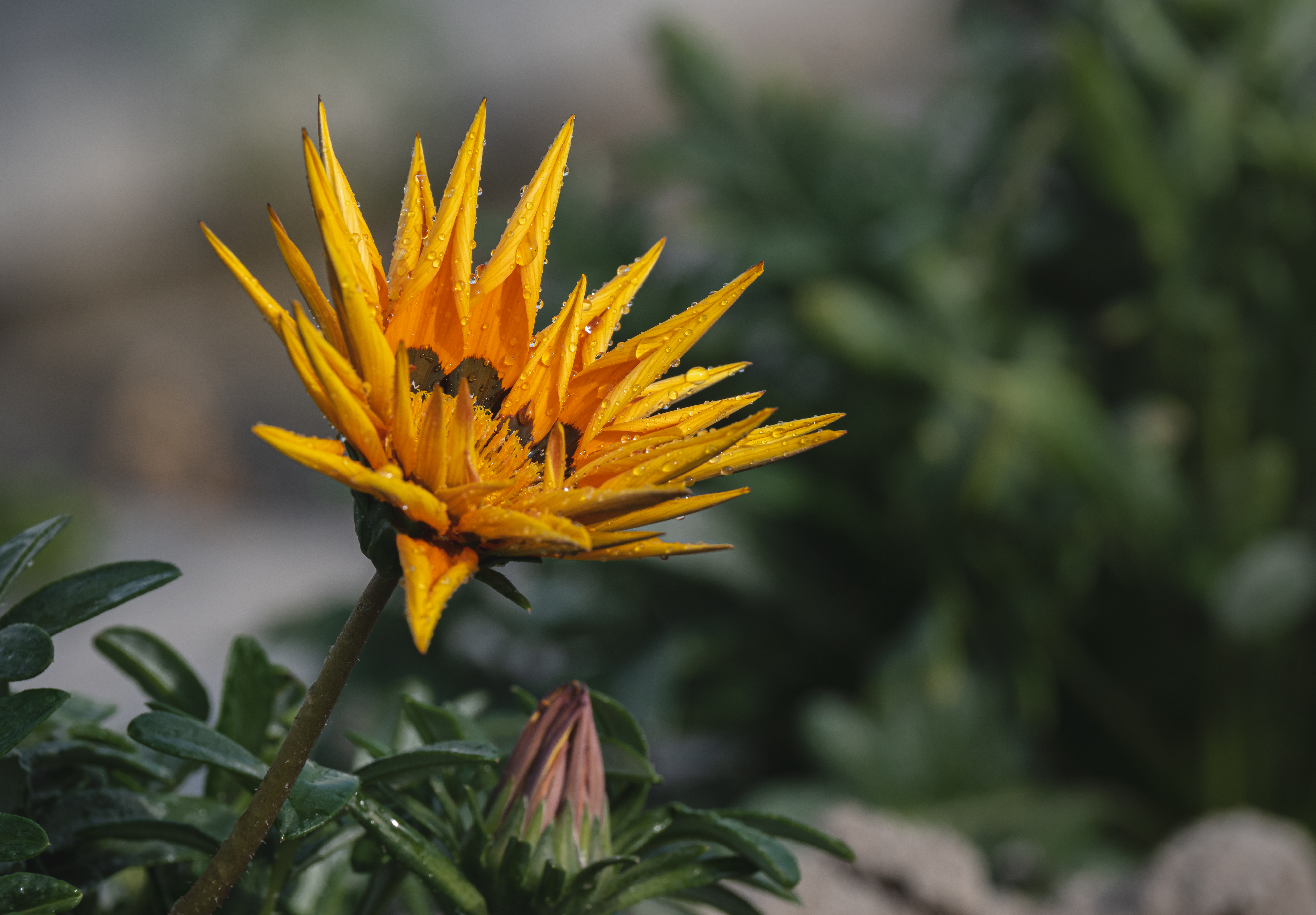 Radiance Unfolded #21