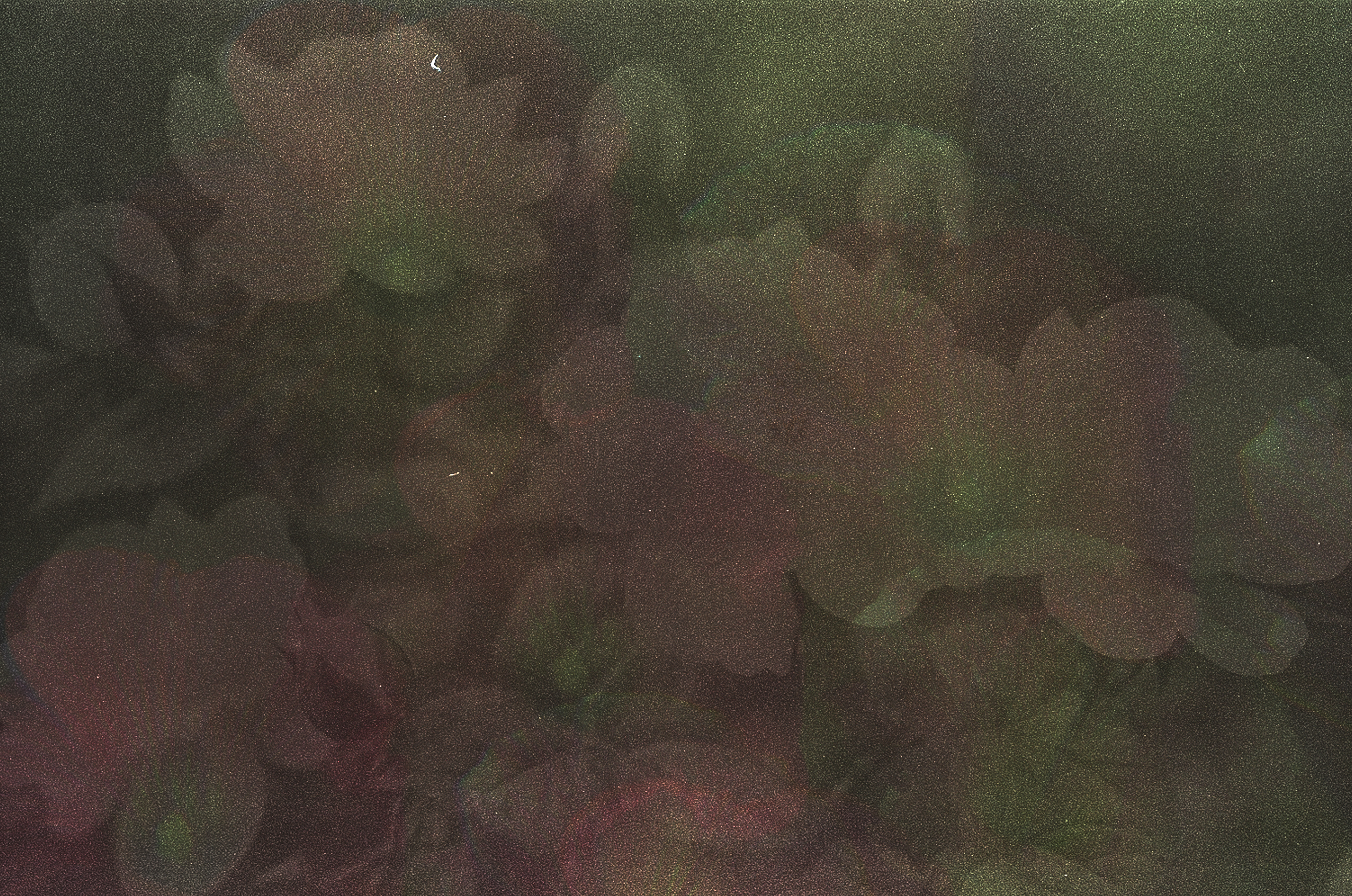 STILL IN THE PAINT III #18