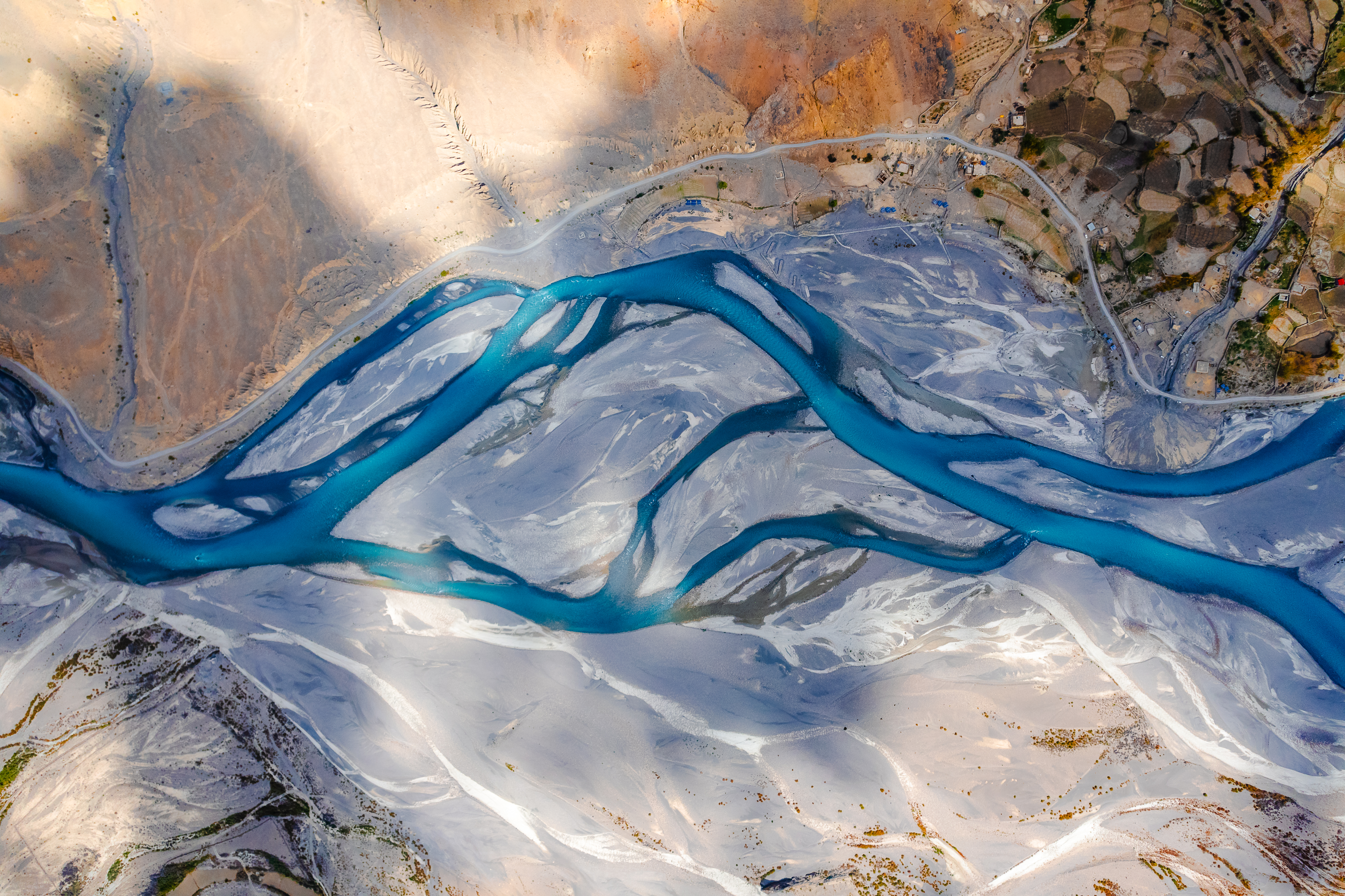 Nature's Abstract art #25