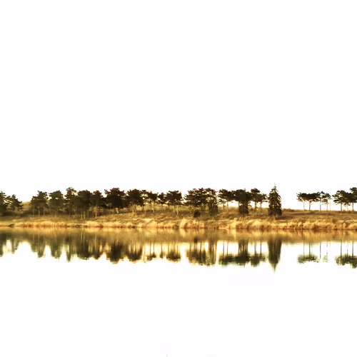 reflection in water