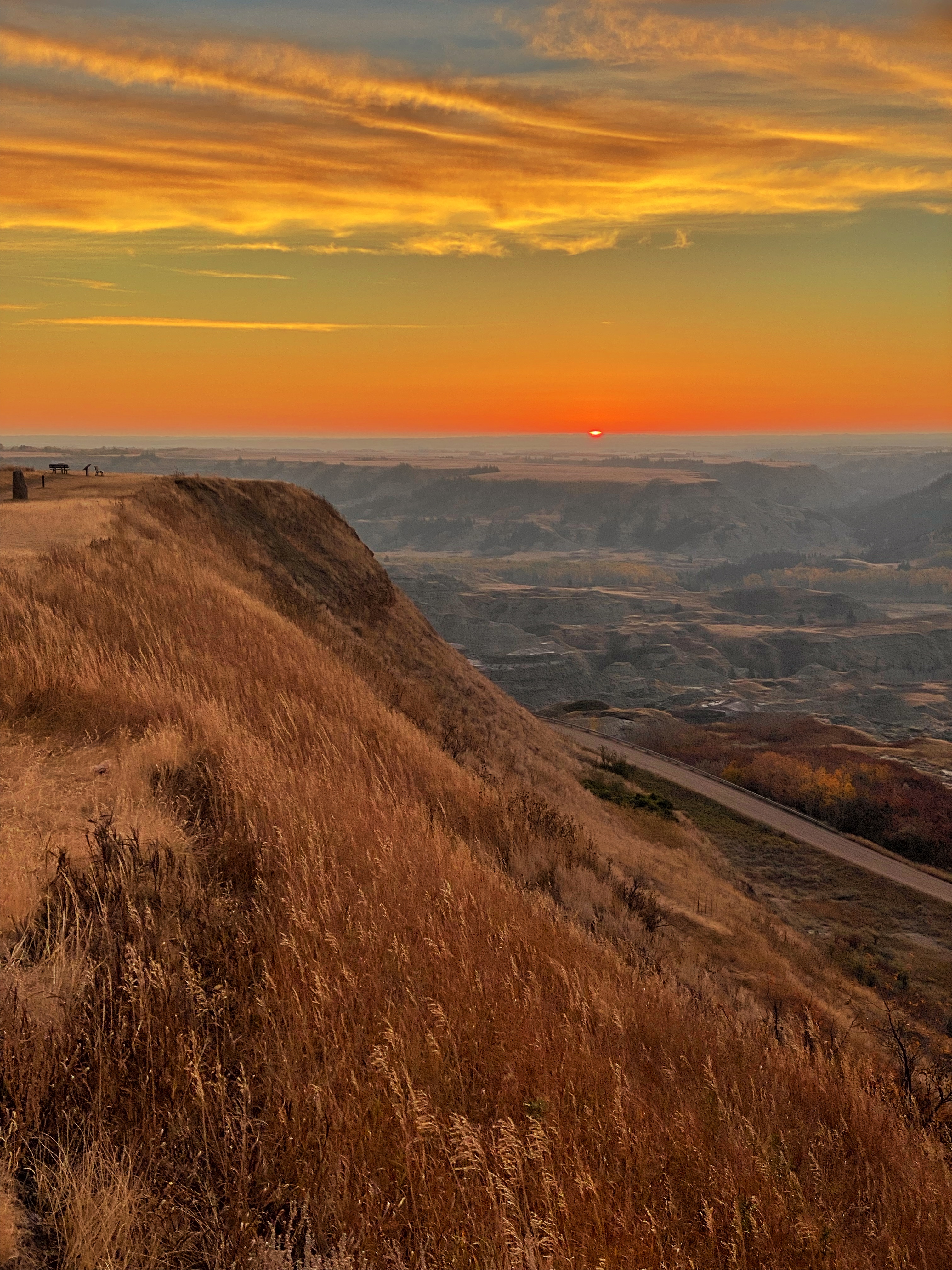 Orange Rising