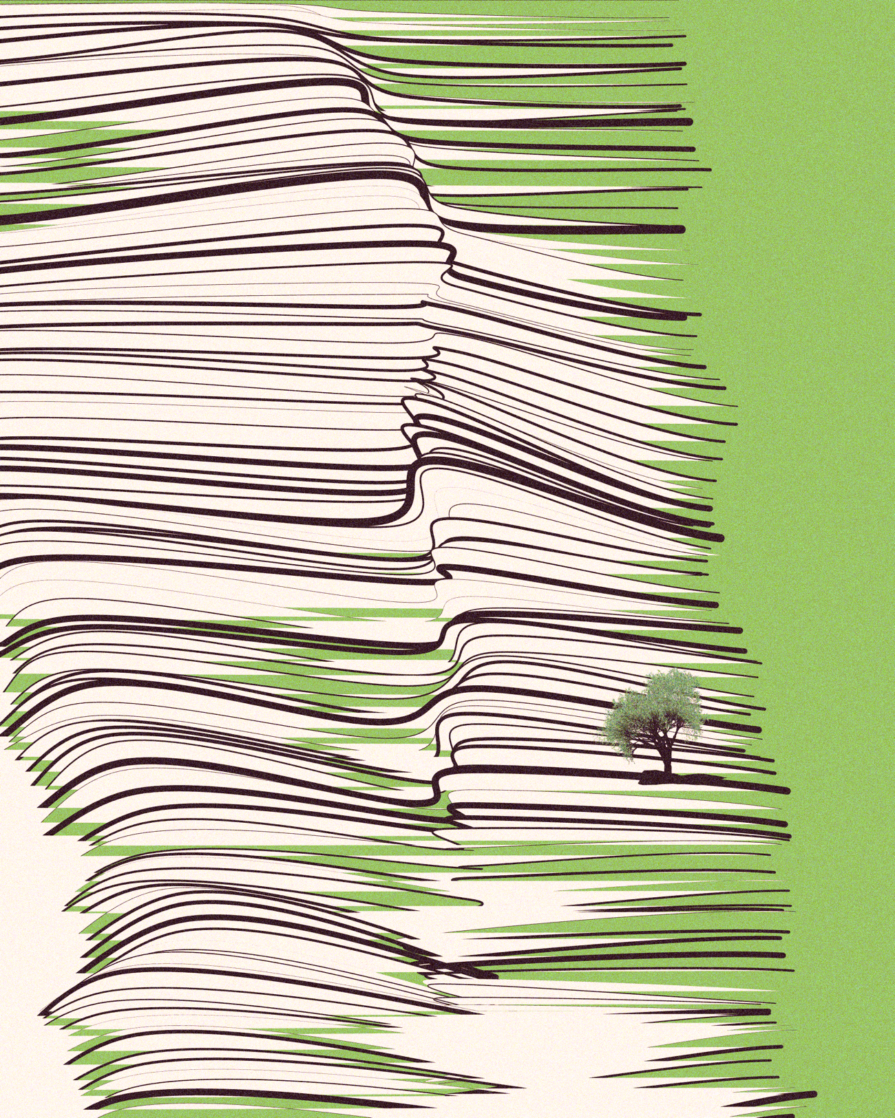 A tree in the distance