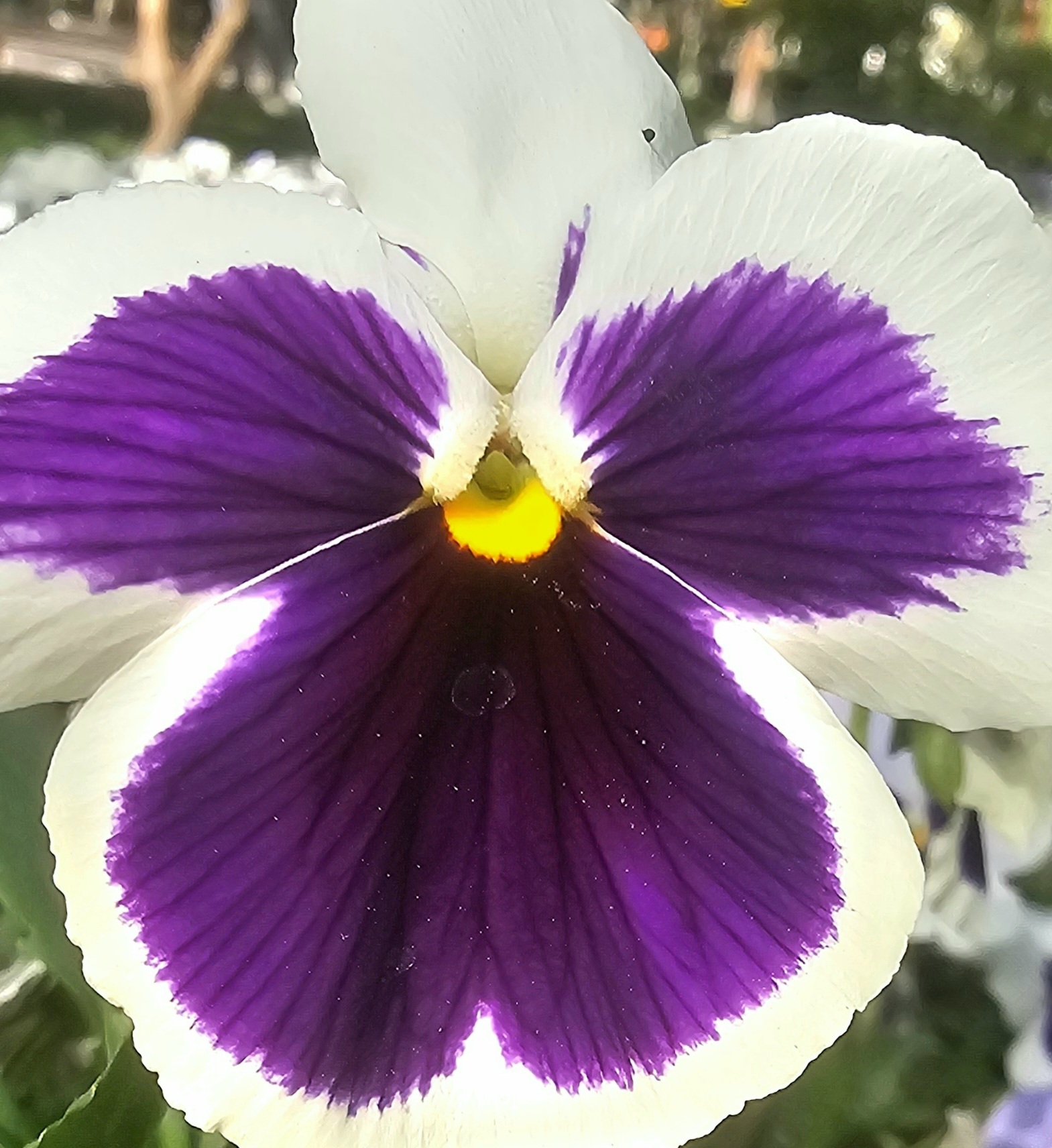Beautiful April 💜 #15