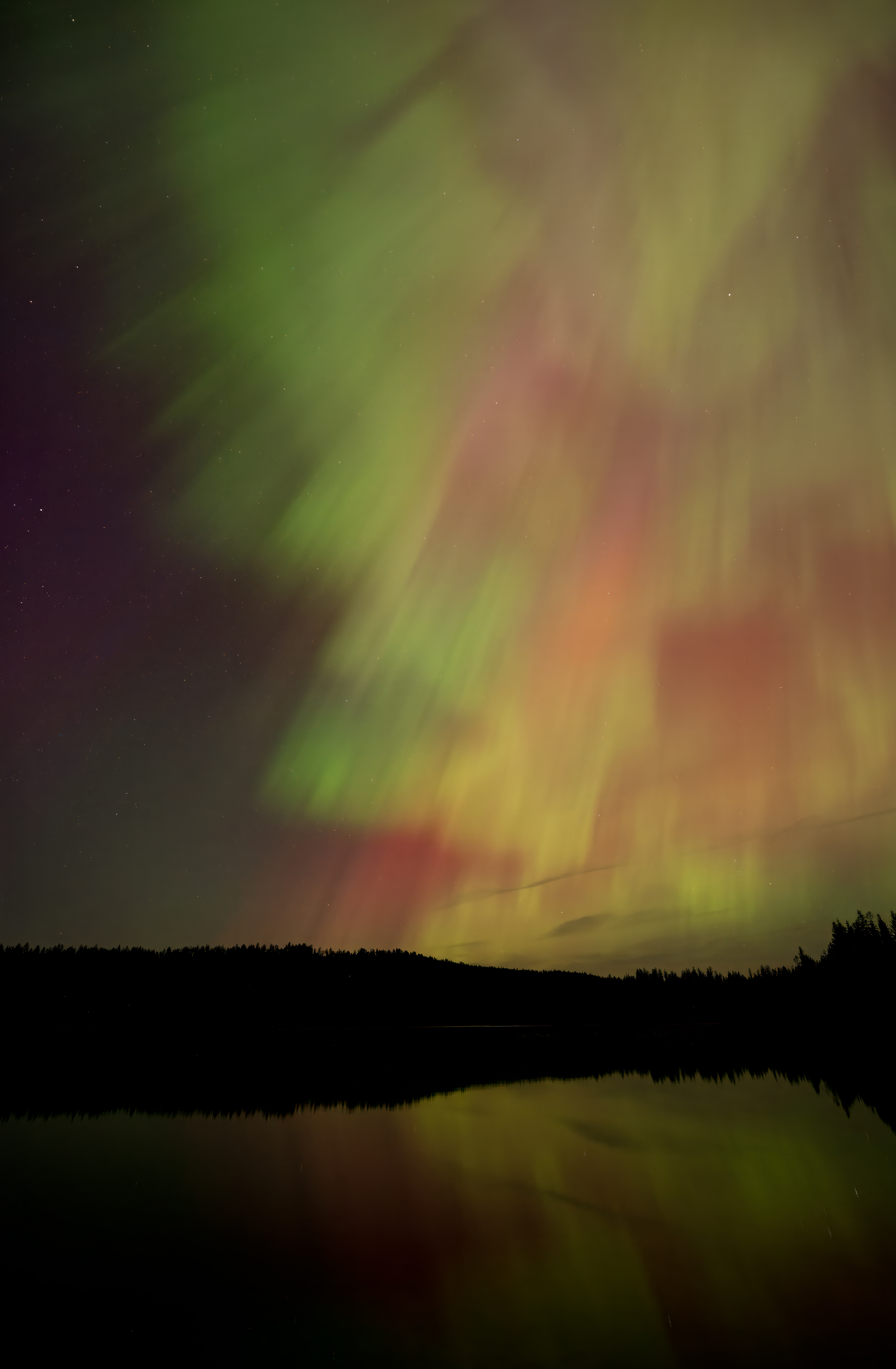 Painted Skies (5314) #19