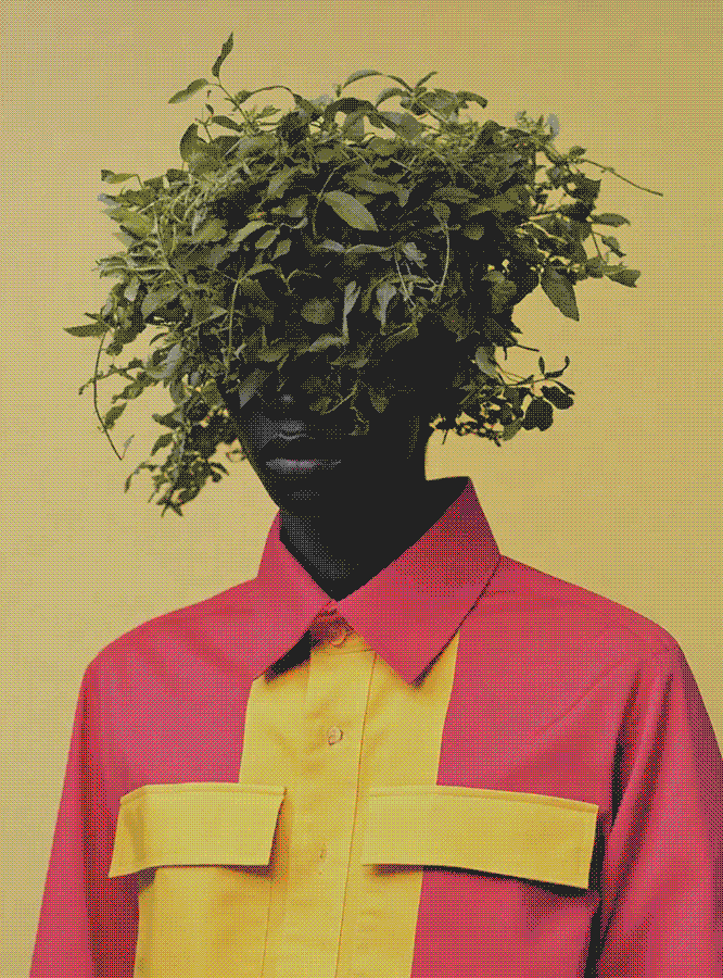 What I Want To See And Smell These Days