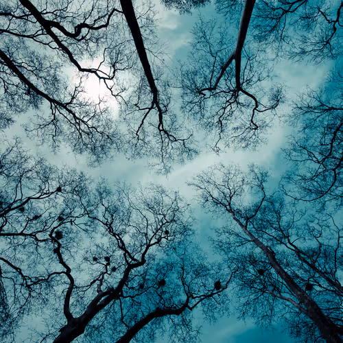 Lying Down...