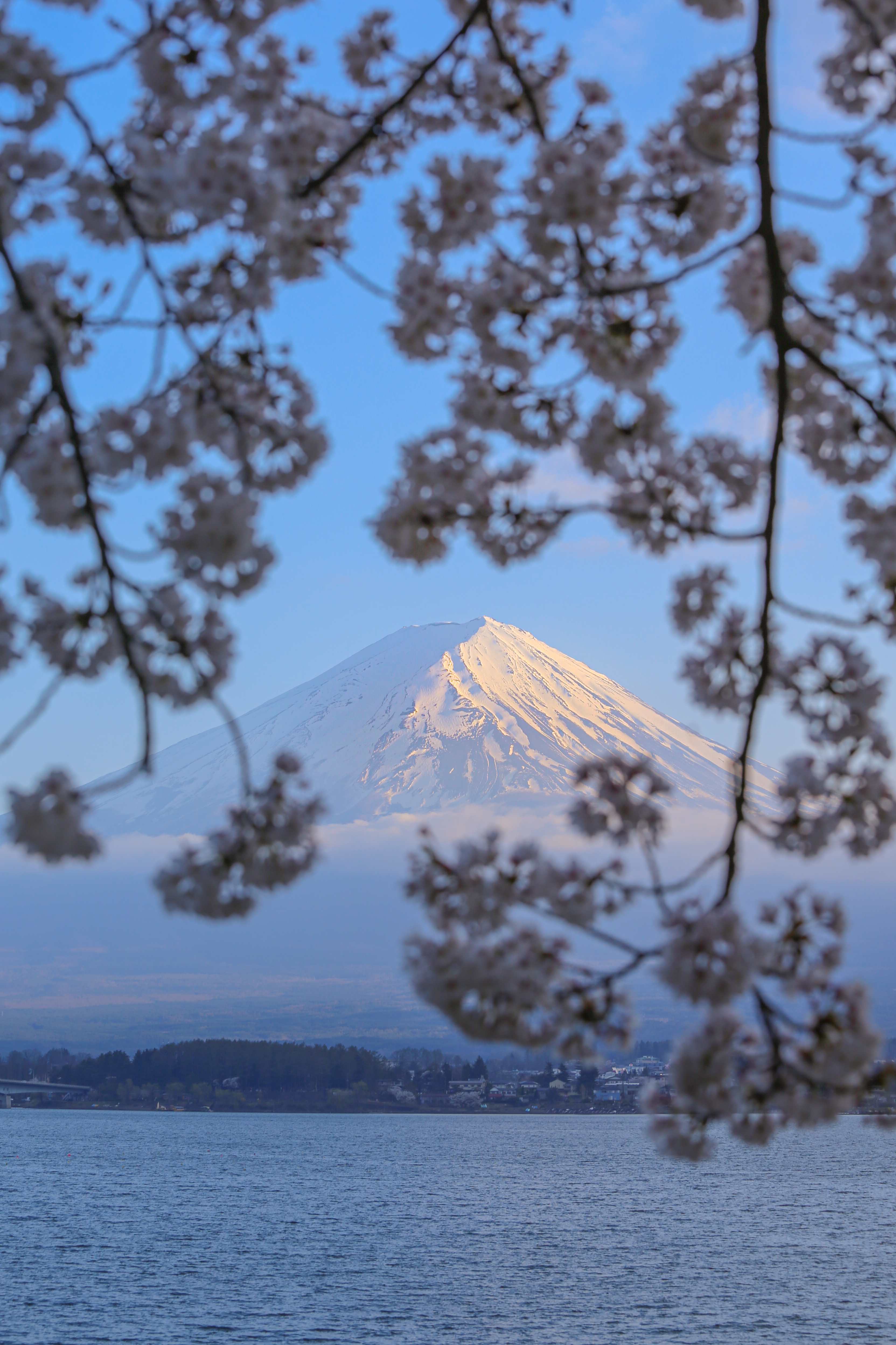 Mount Fuji - Focus