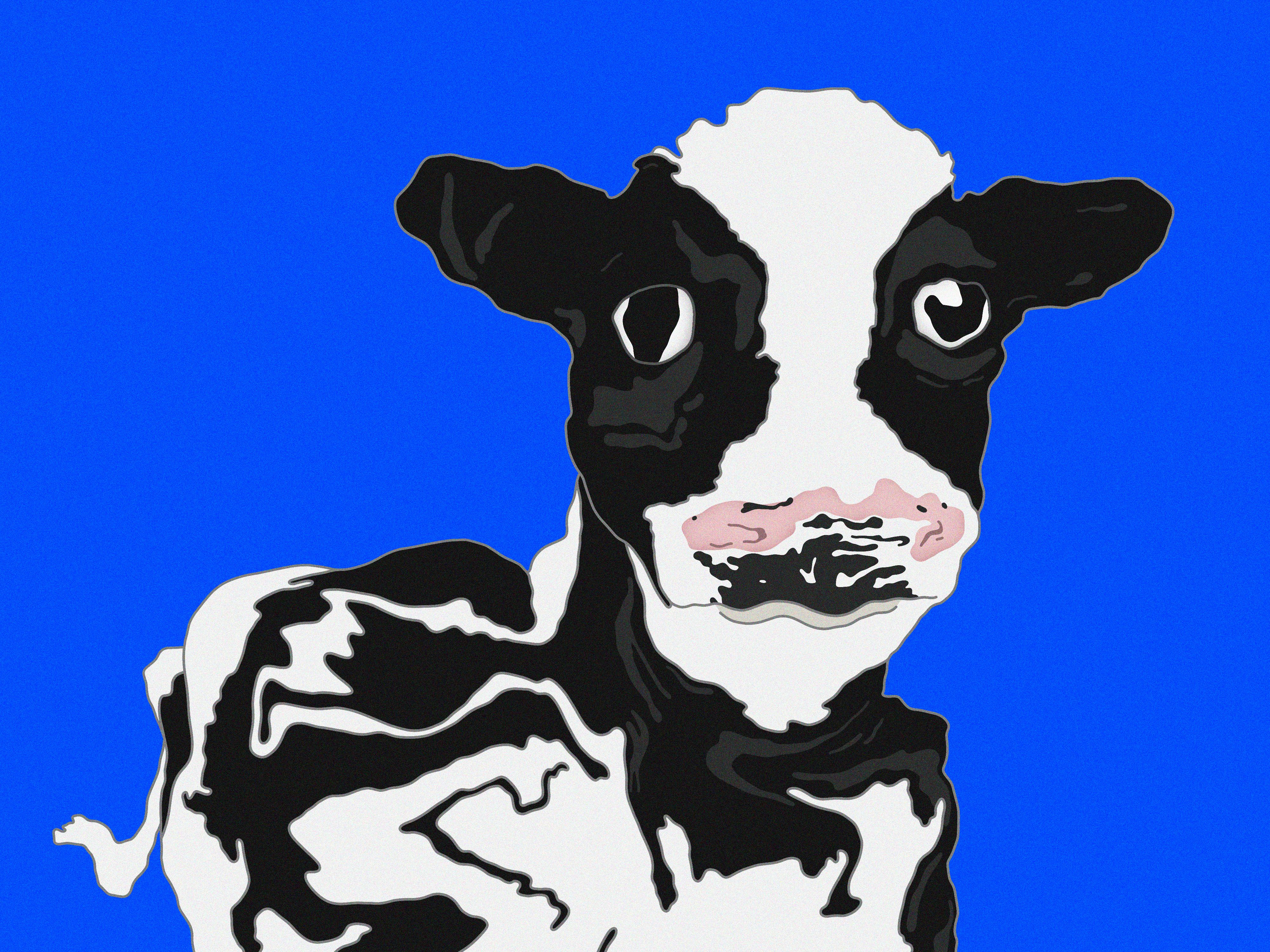 cowww