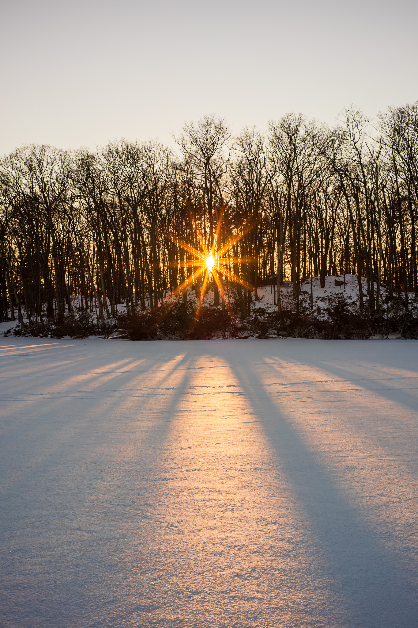 Winter Light and Shadows