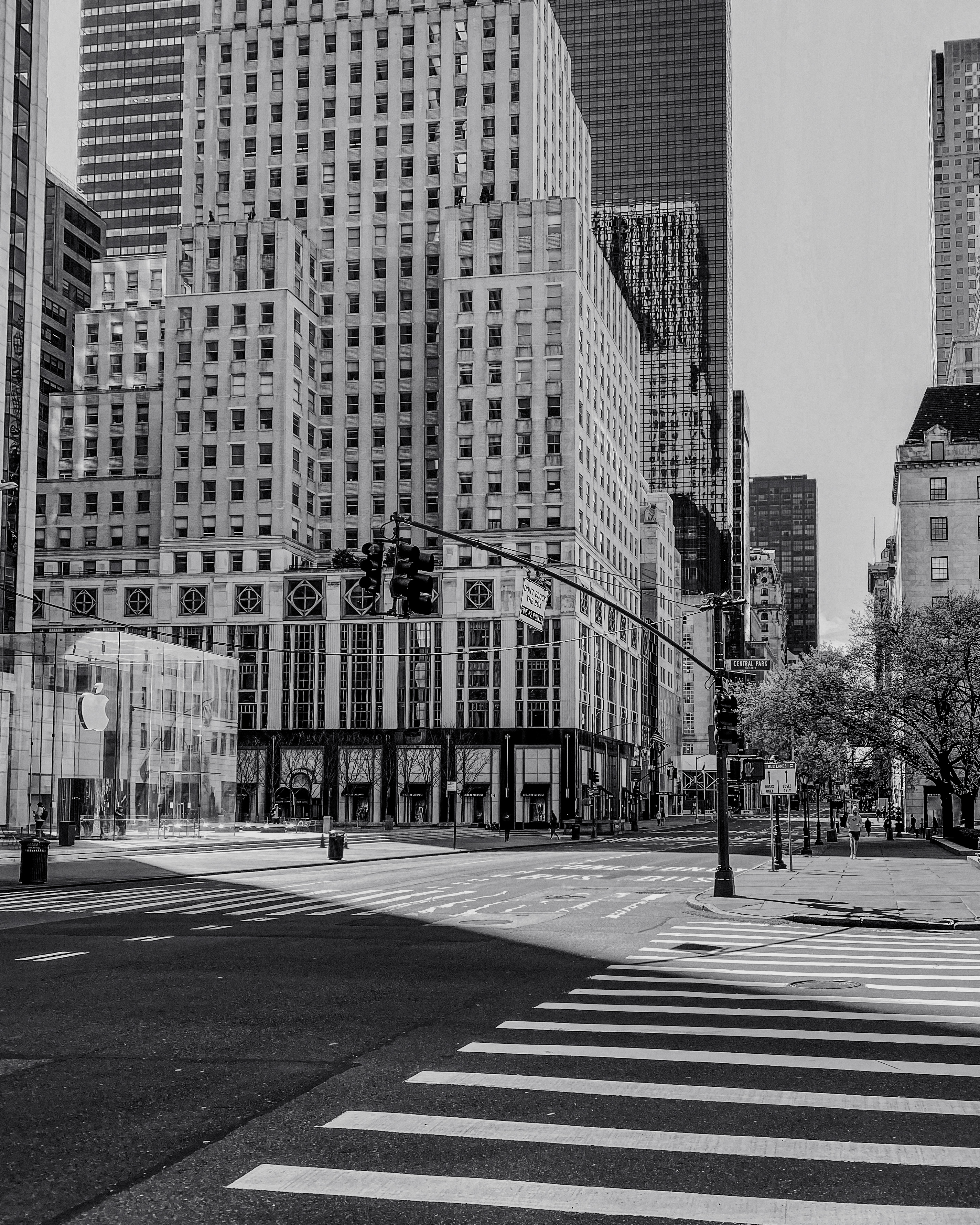 5th Ave Grand Army Plaza