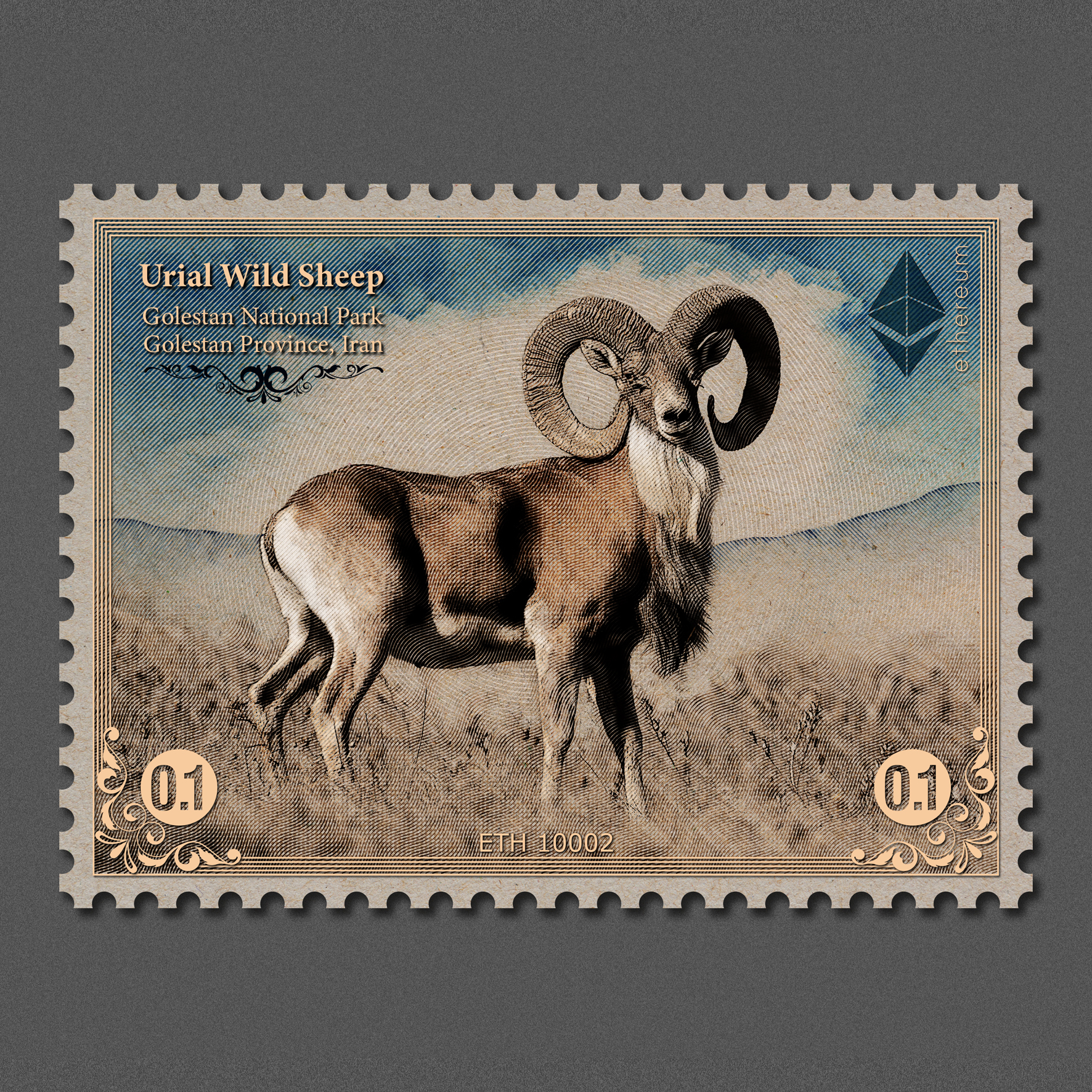 Urial Wild Sheep