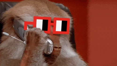 NOGSMONKEY