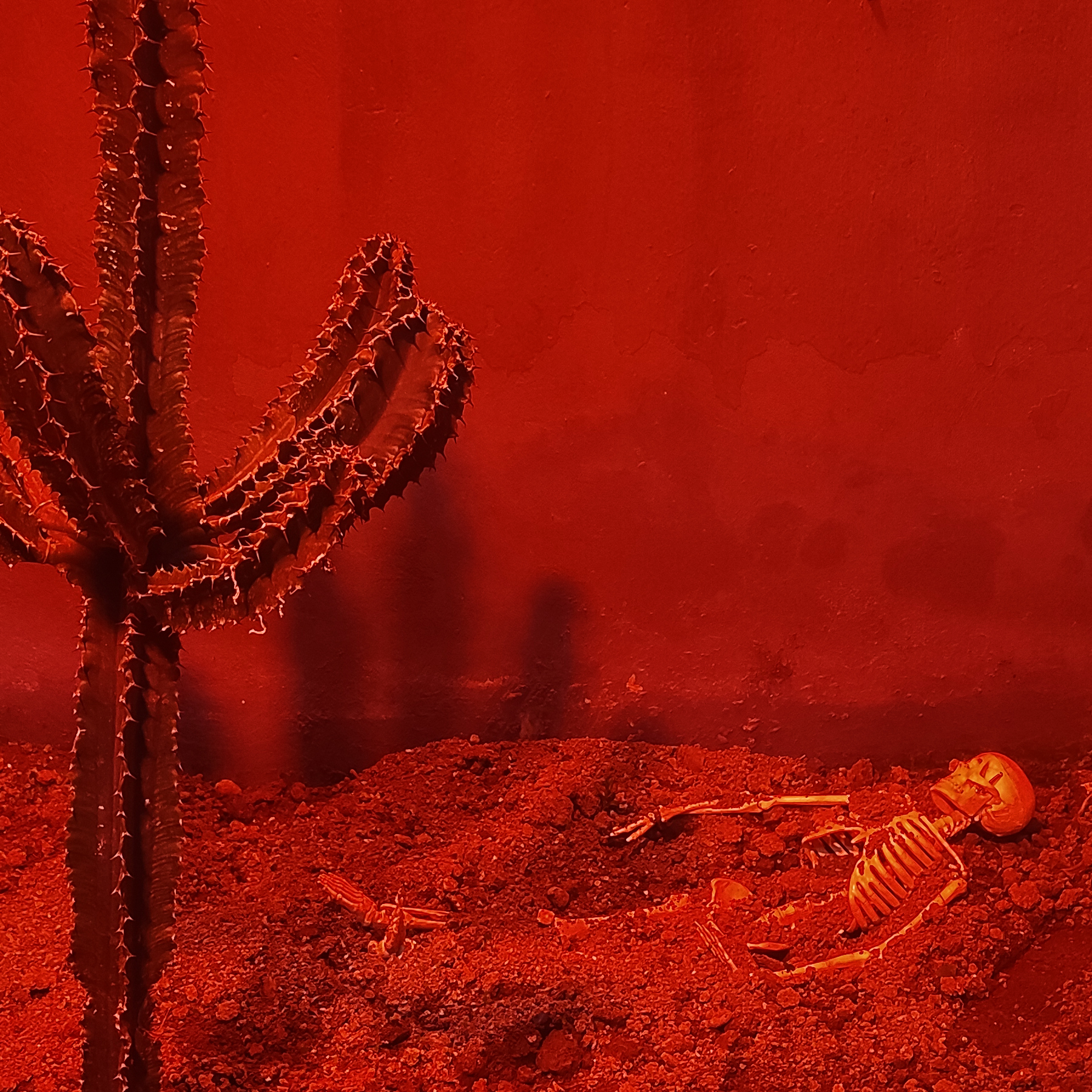 In the Red Room