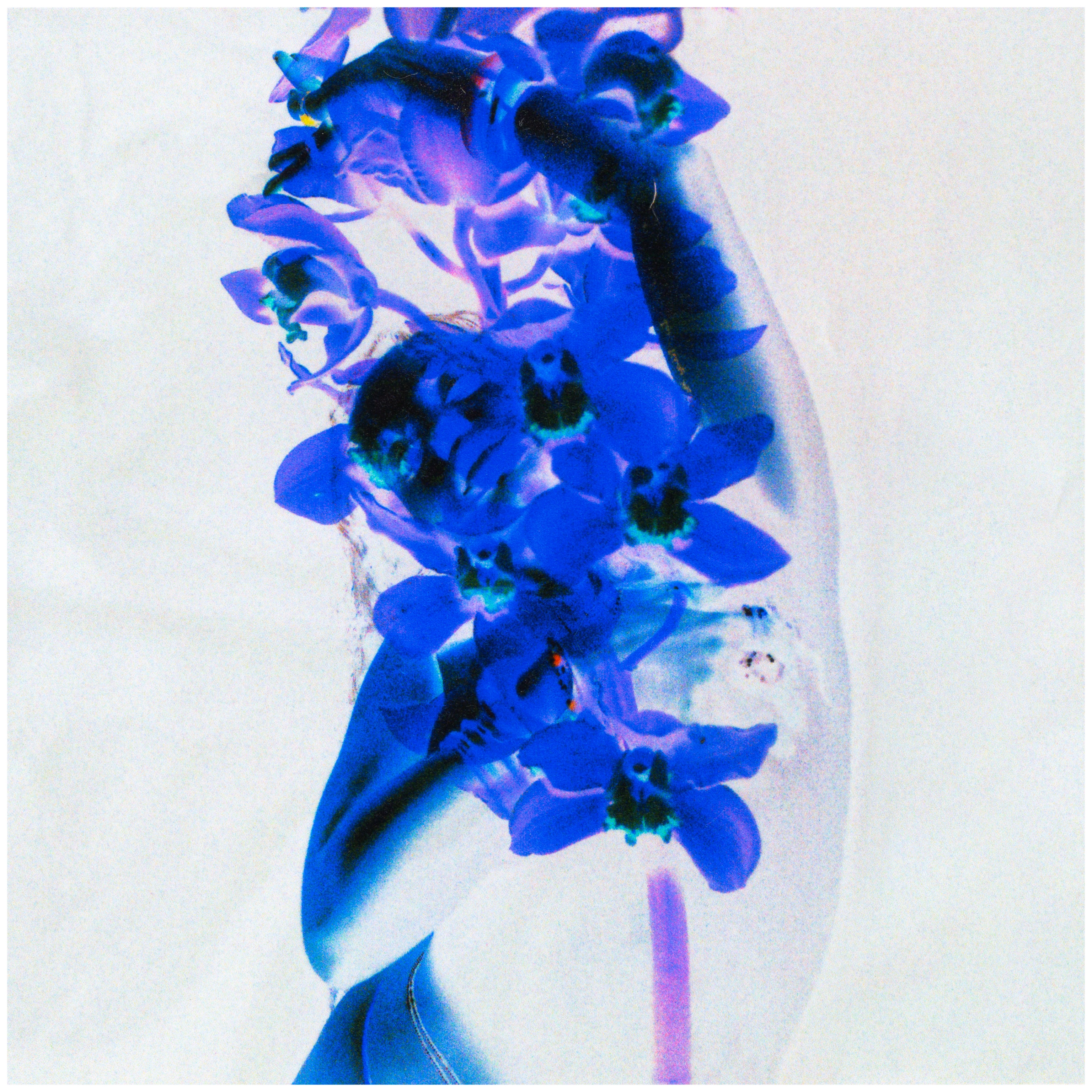 flora & fauna series 007