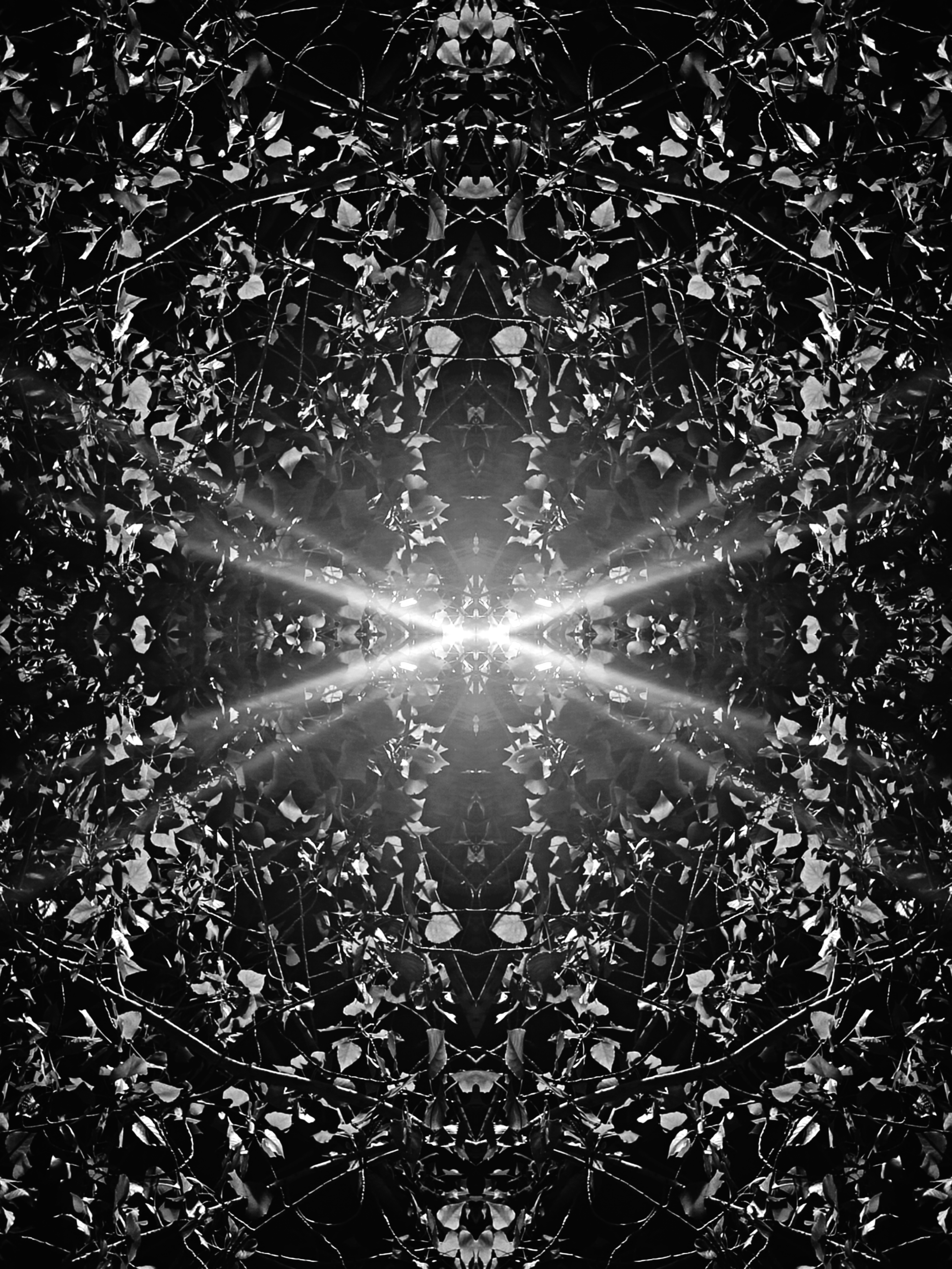 Symmetry #503