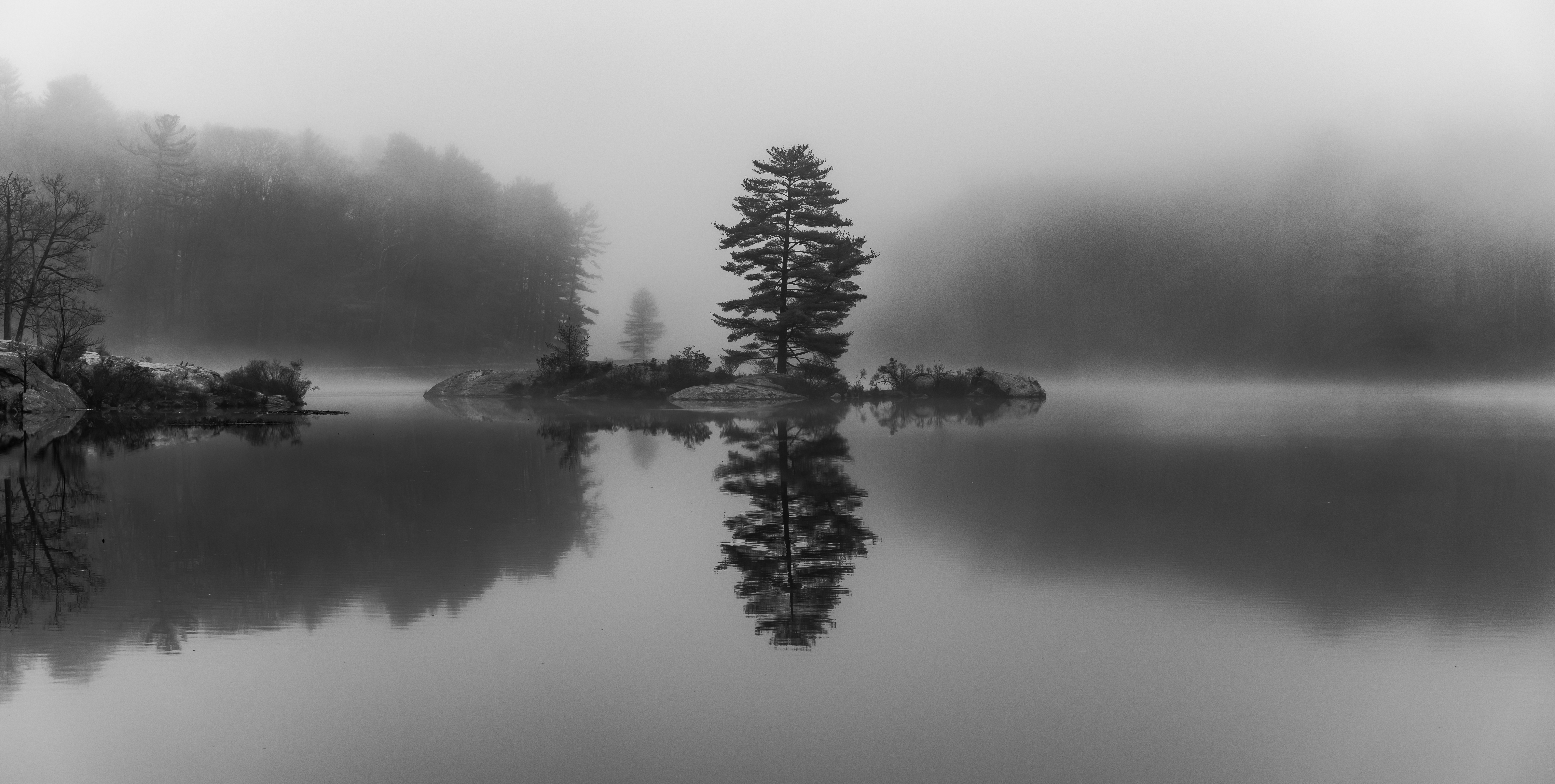 Silent Solitude
