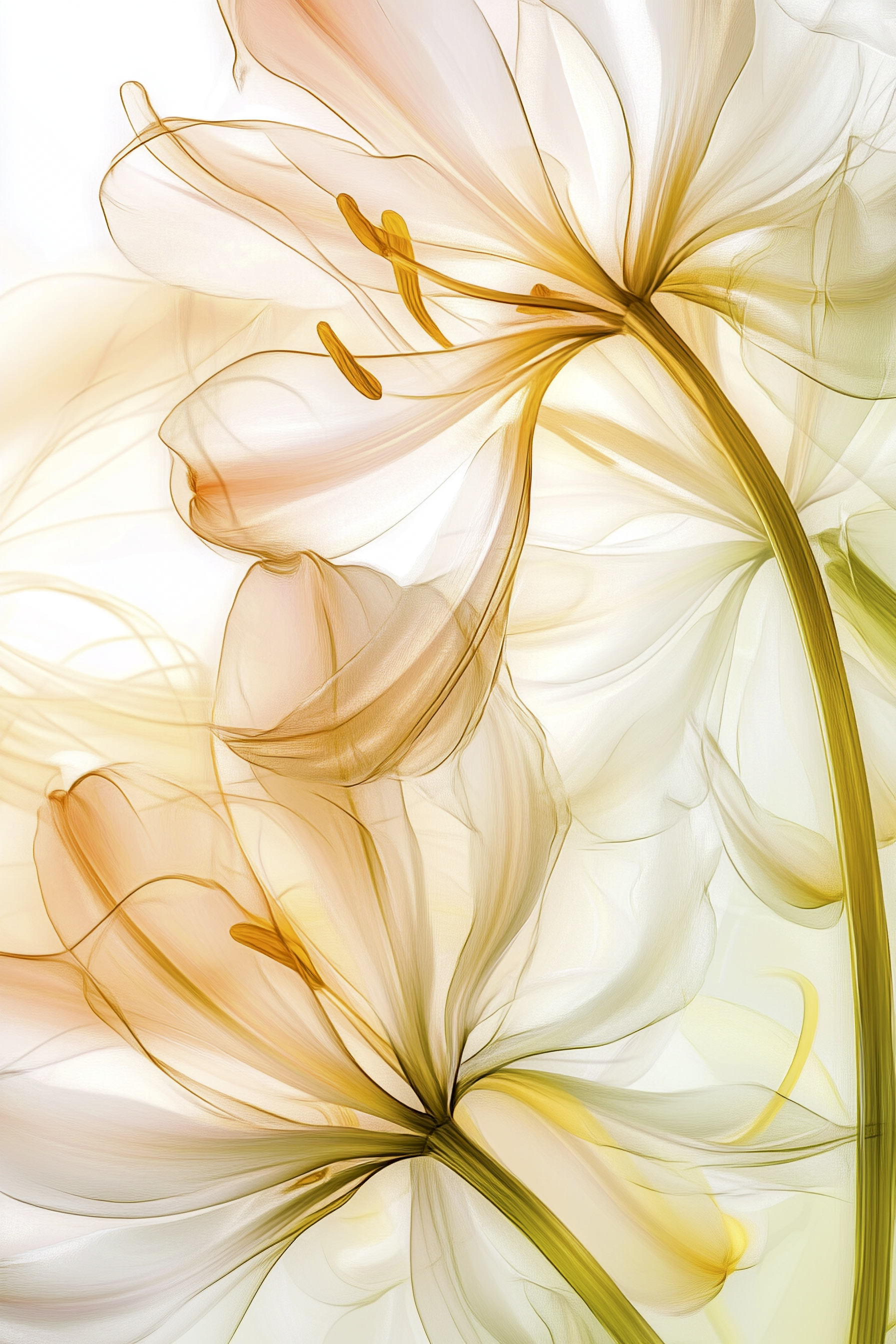 Gossamer Gardens #6