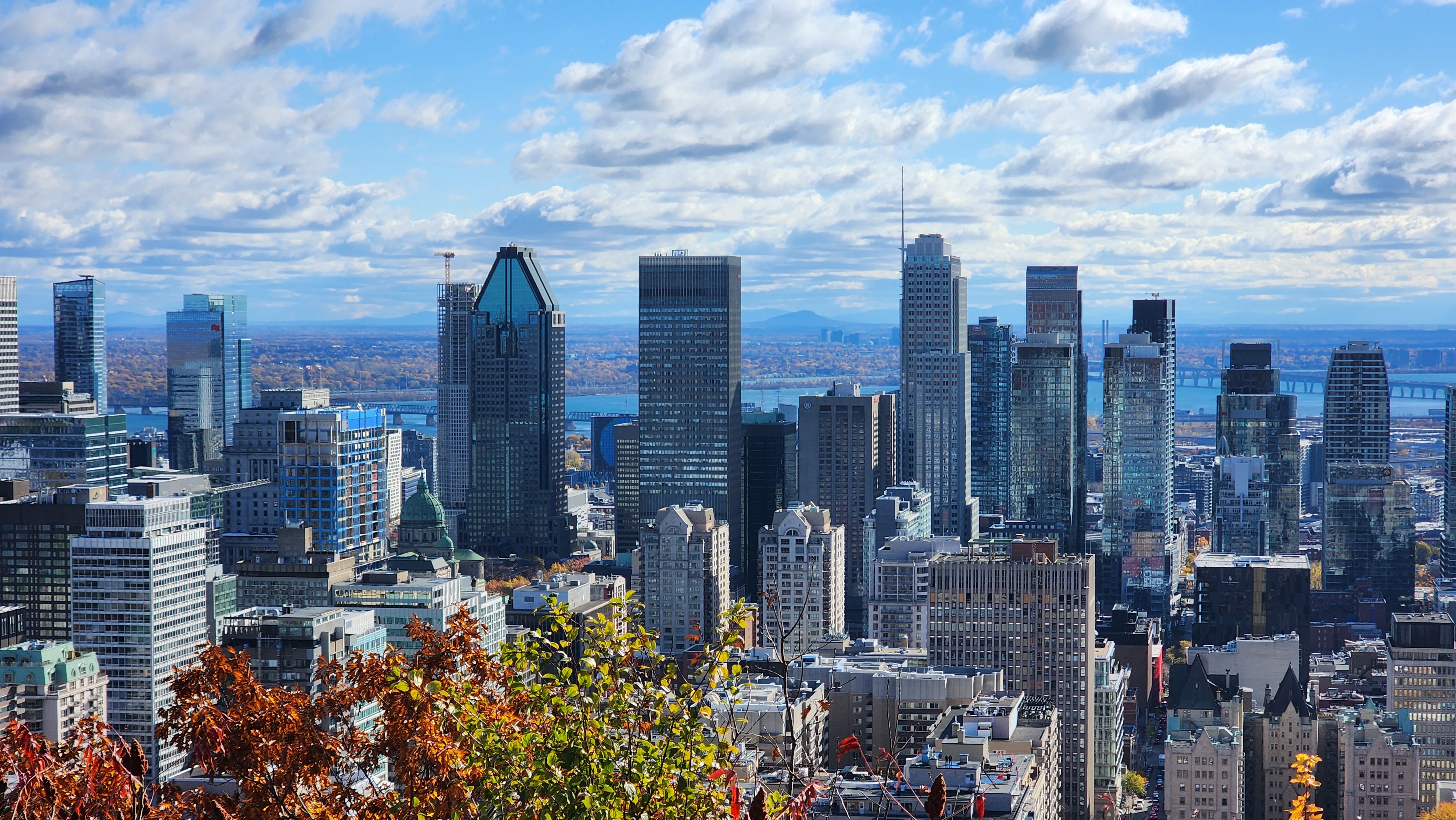 Mont Royal #14